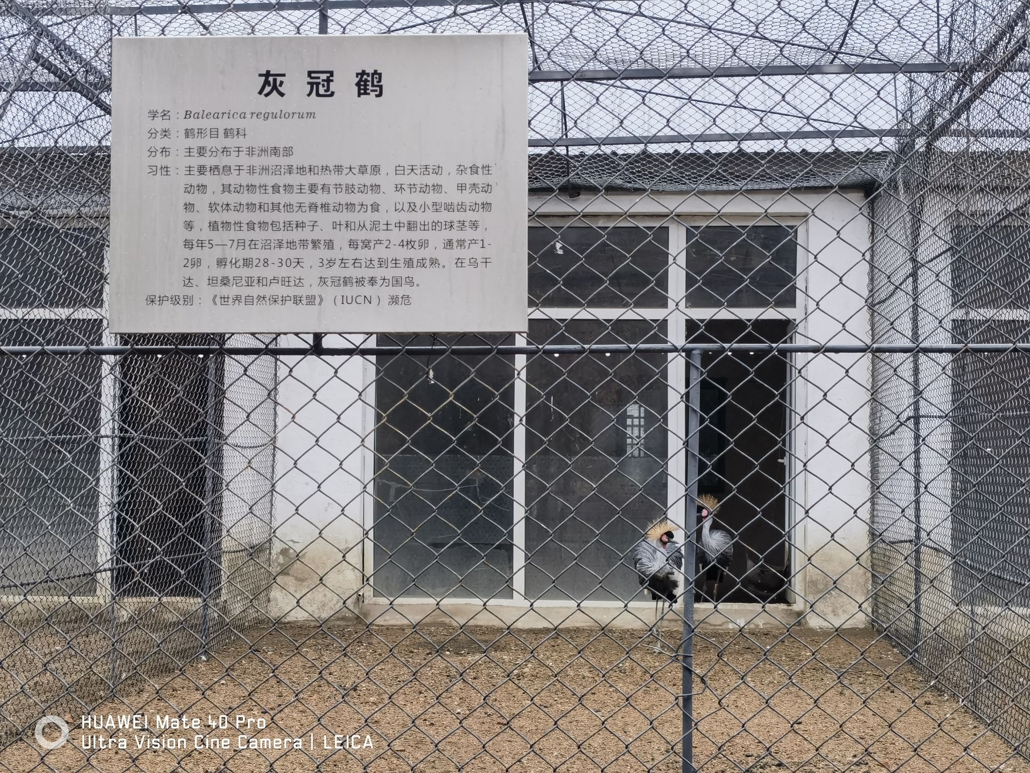 世纪广场旅行图片 2