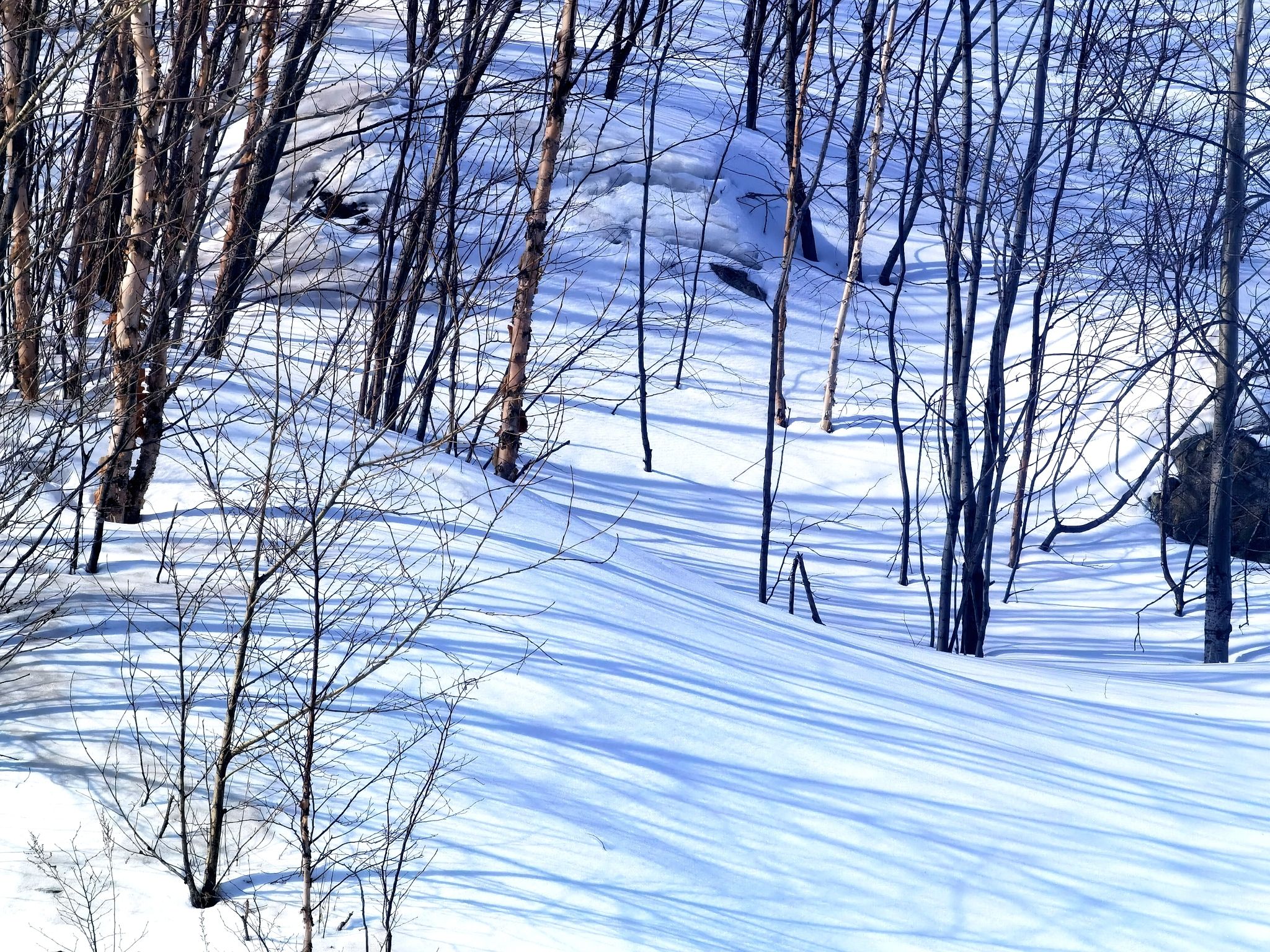吉林市永吉县北大湖滑雪度假区旅行图片 1