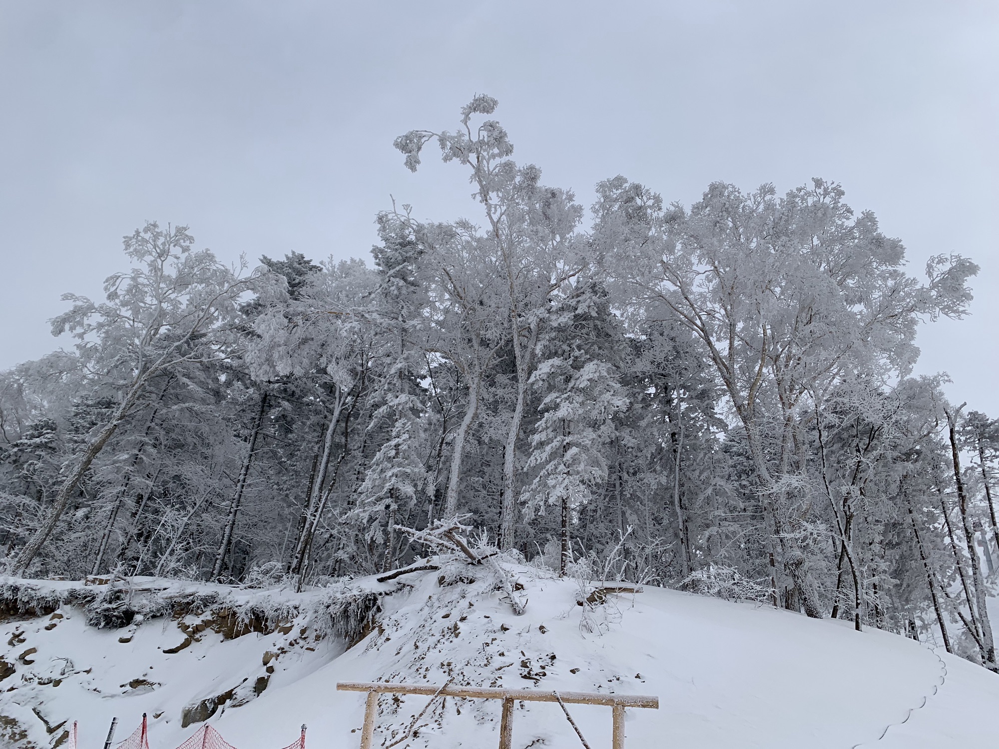 吉林市永吉县北大湖滑雪度假区旅行图片 3