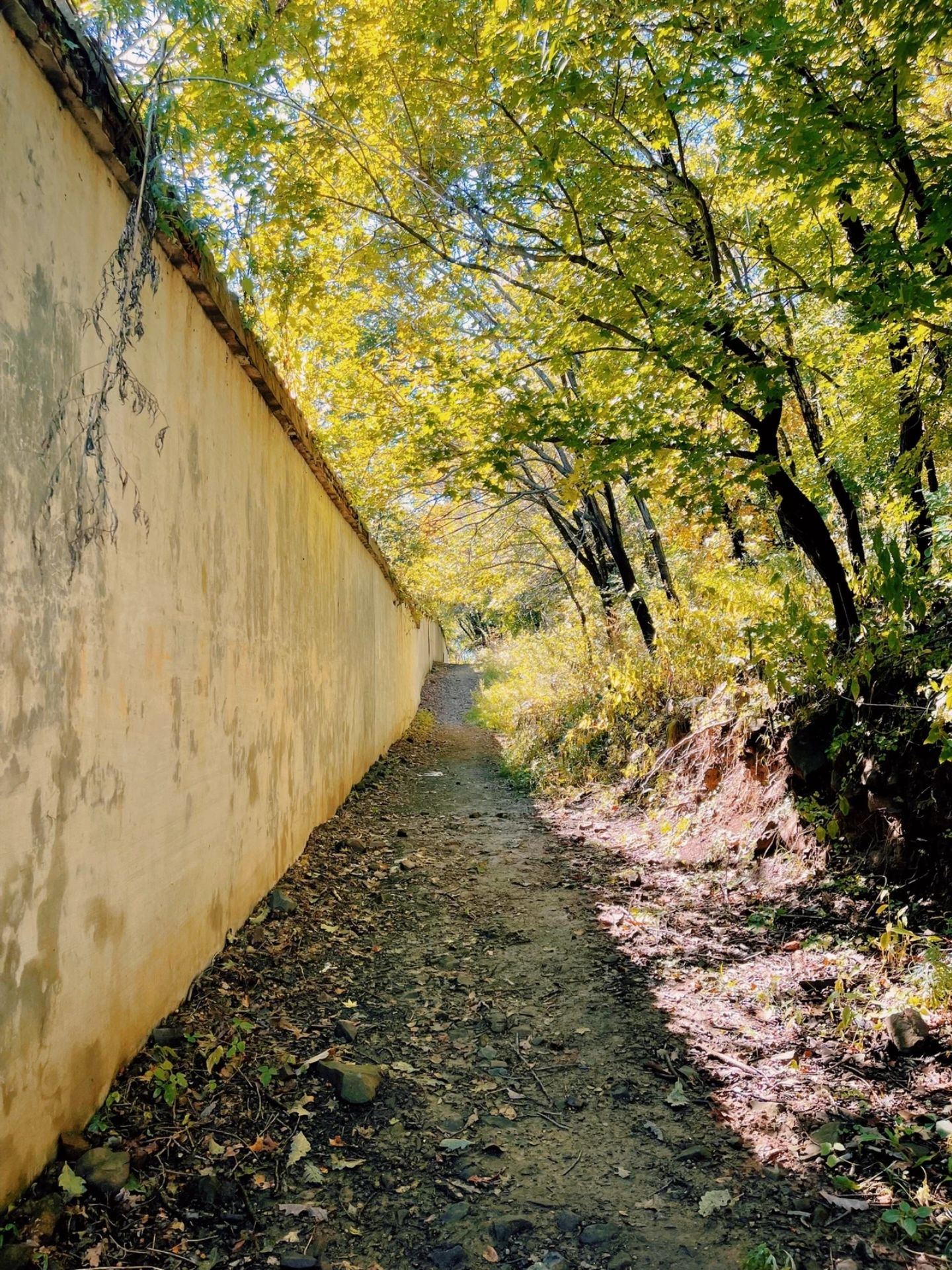 凤凰山风景区旅行图片 1