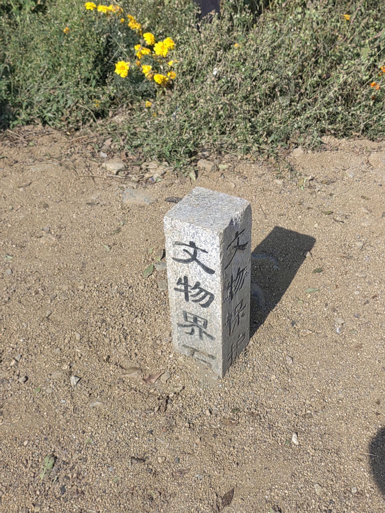 西团山文化遗址旅行图片 1