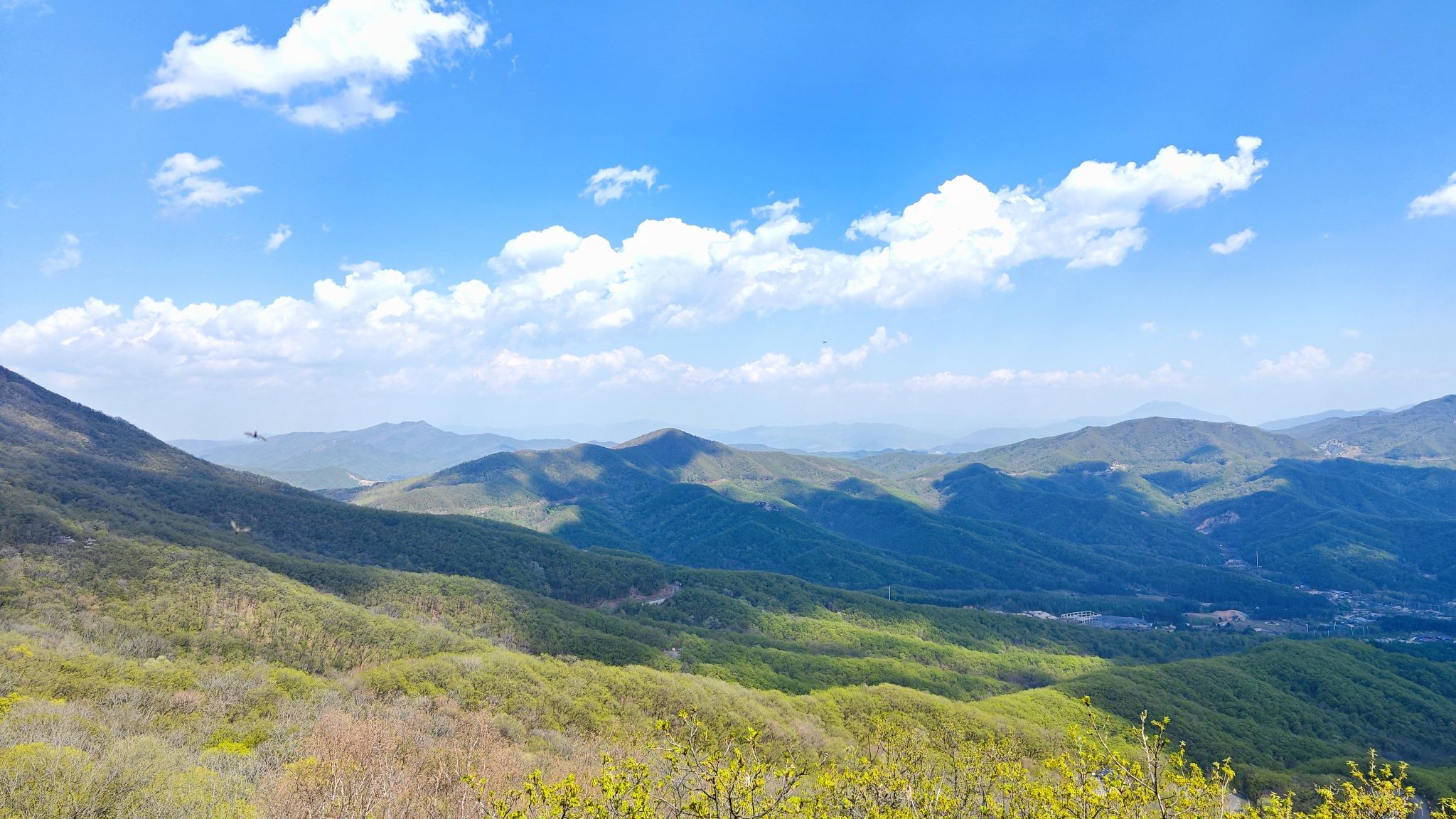 朱雀山国家森林公园旅行图片 3
