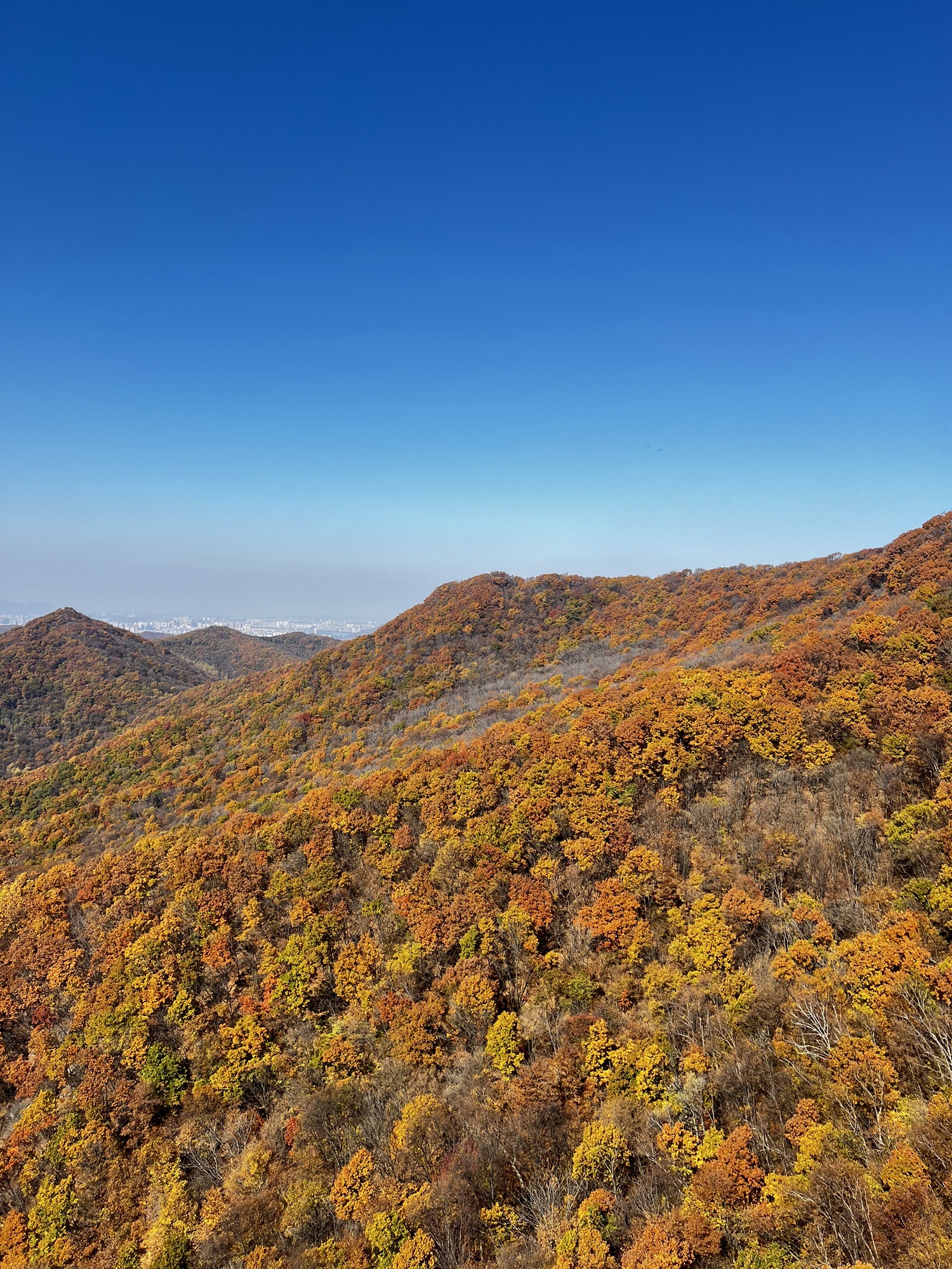 朱雀山国家森林公园旅行图片 1
