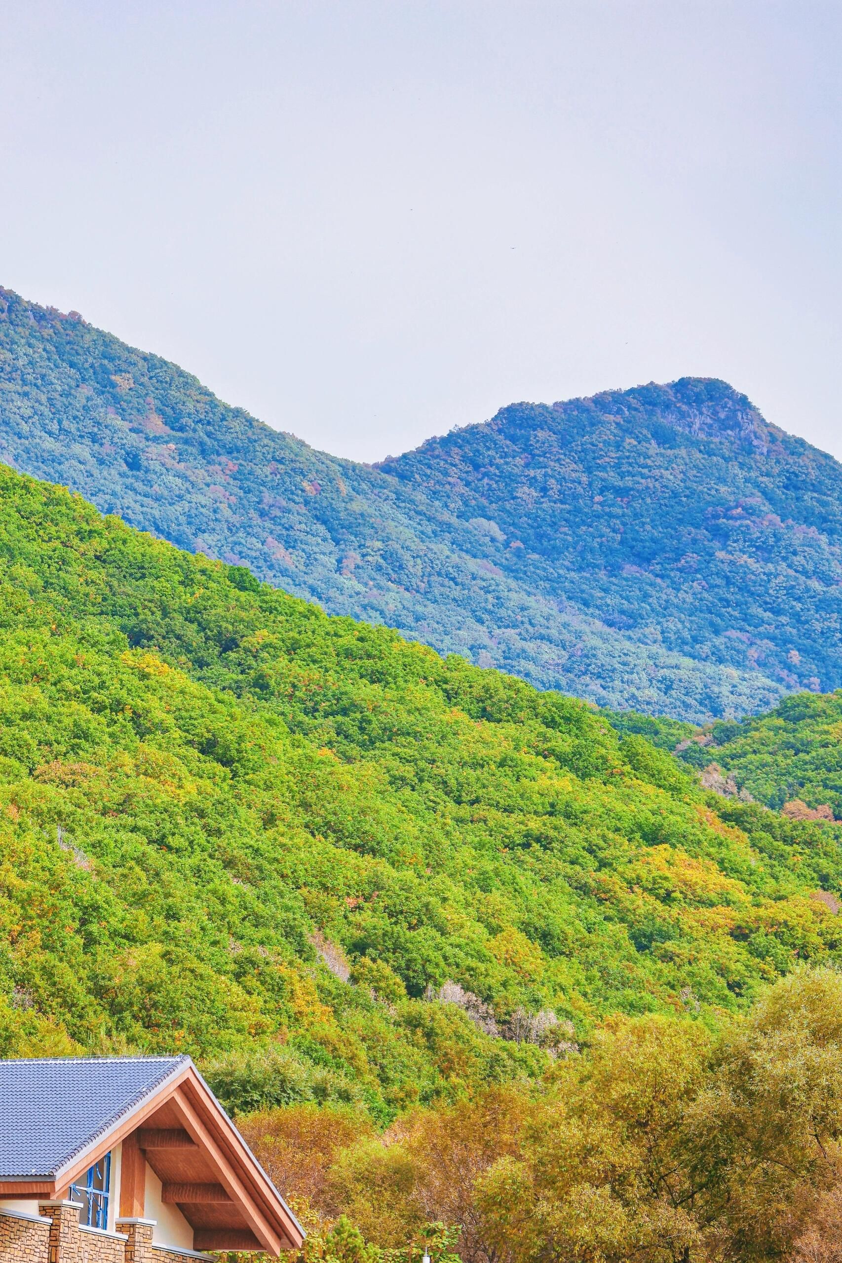 朱雀山国家森林公园旅行图片 1