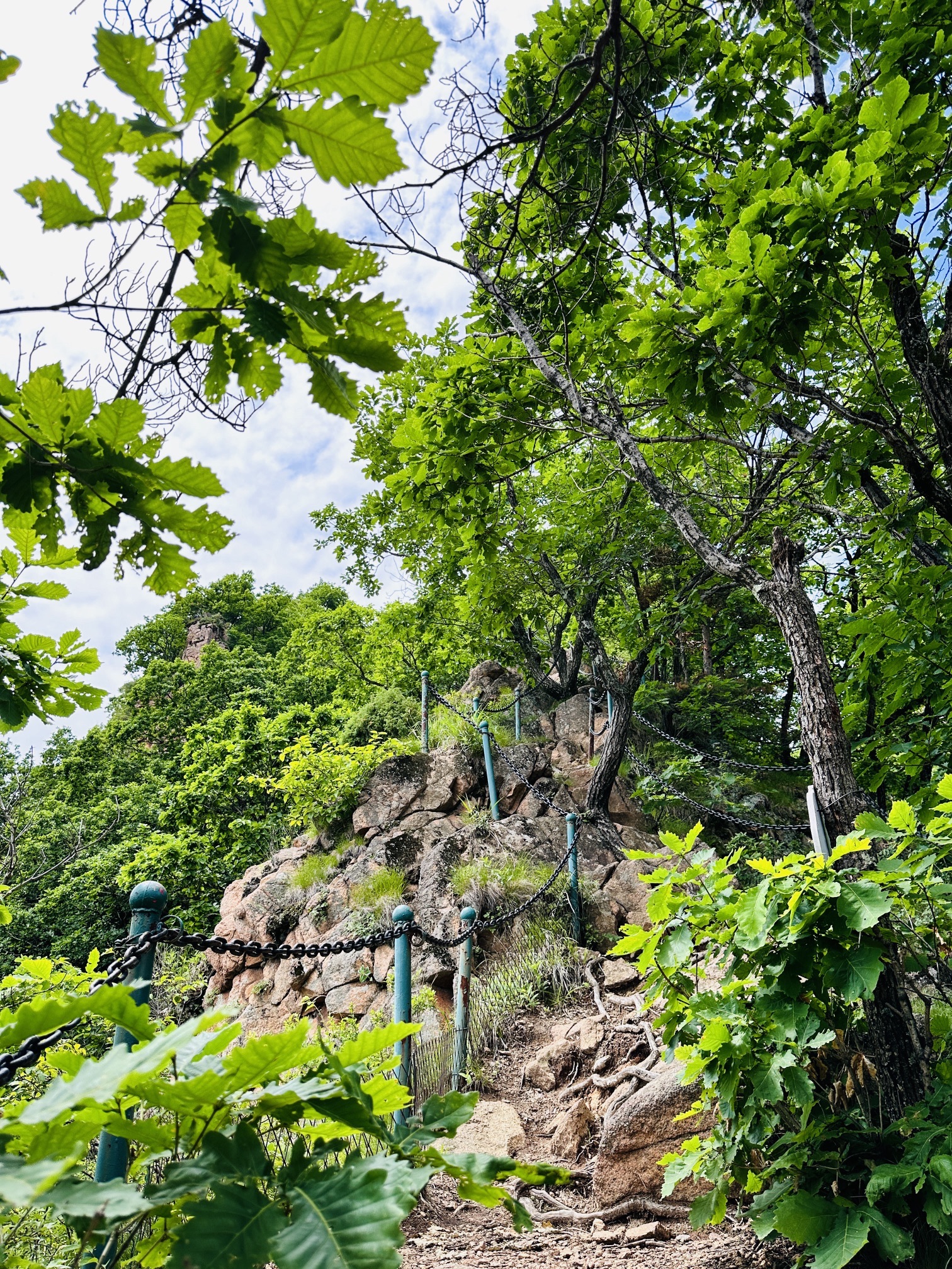蛟河拉法山国家森林公园旅行图片 3