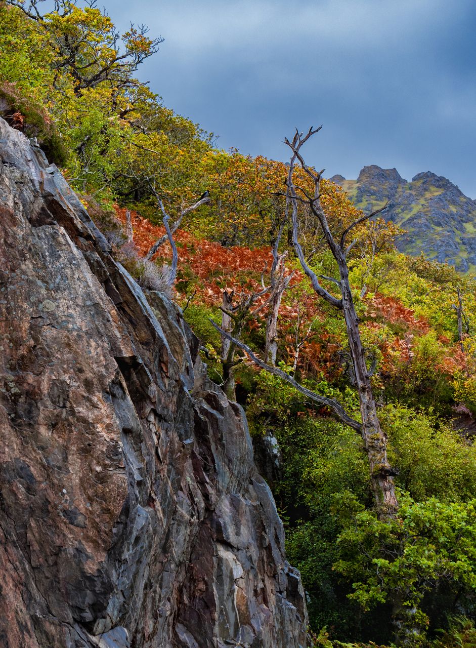 蛟河拉法山国家森林公园旅行图片 2