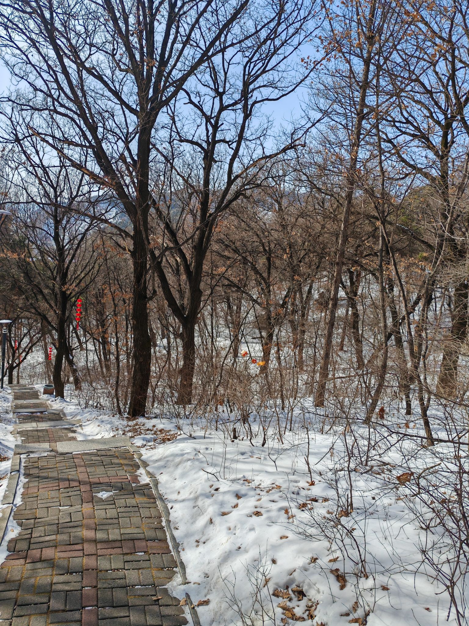 城北公园旅行图片 2