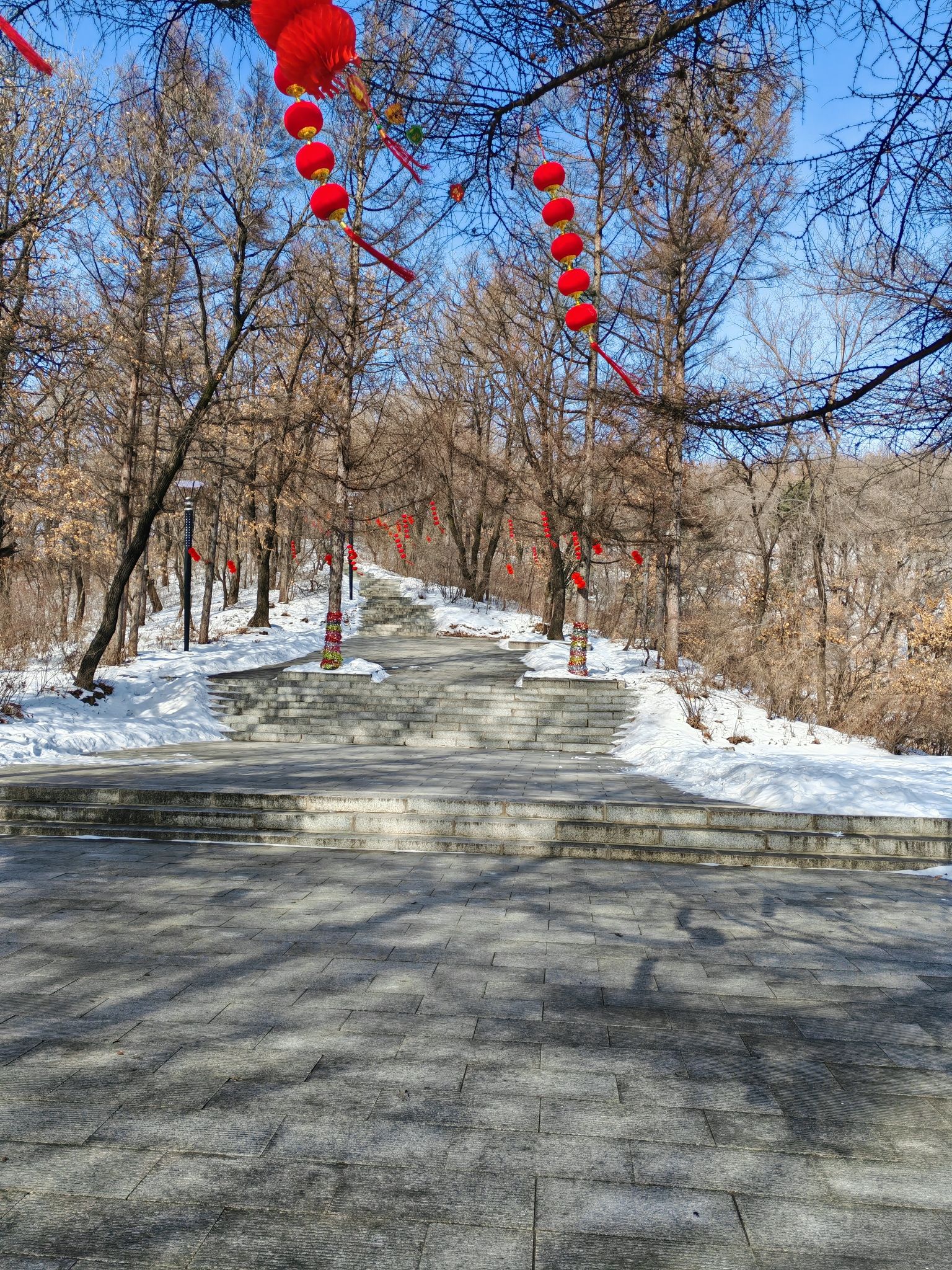 城北公园旅行图片 3