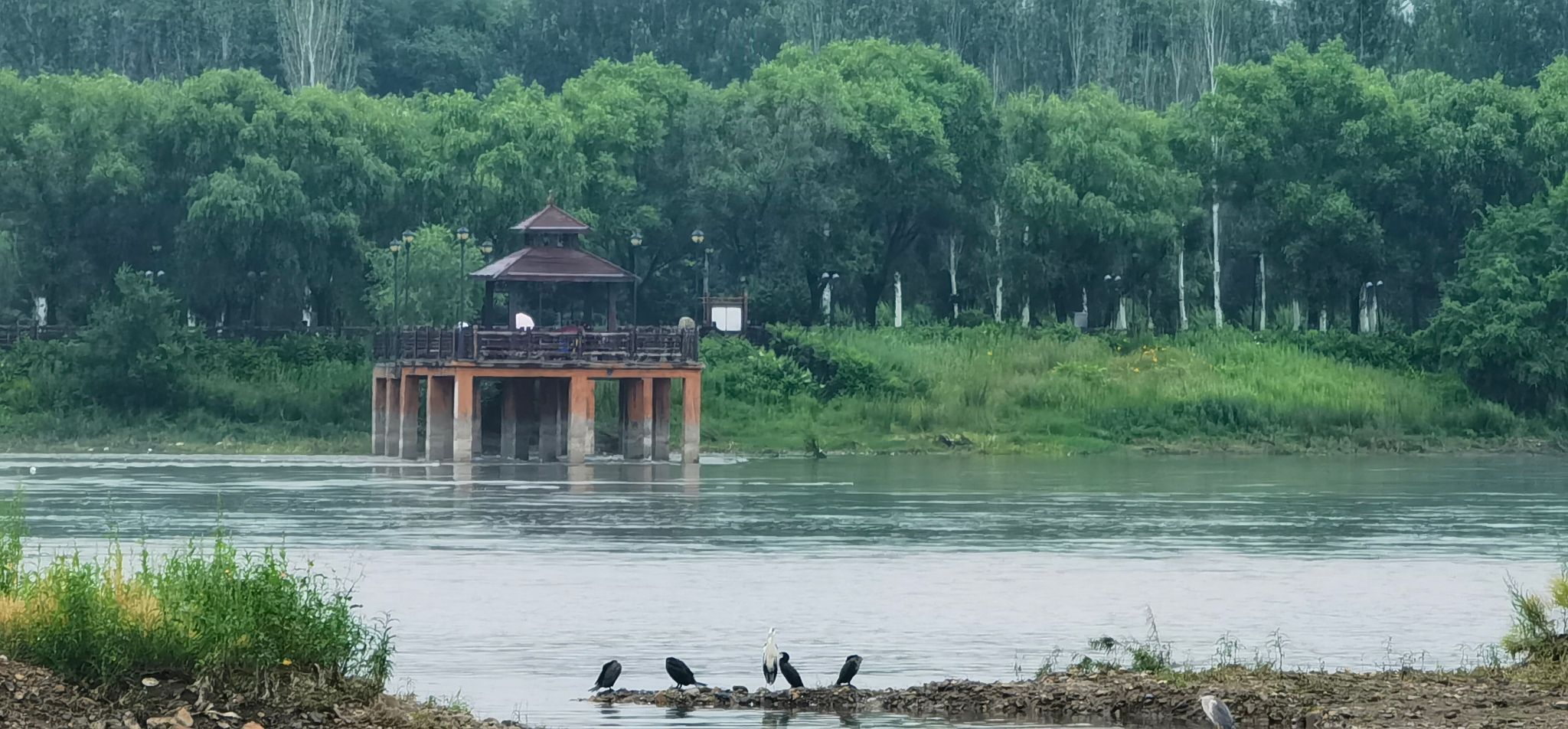 临江游园旅行图片 1