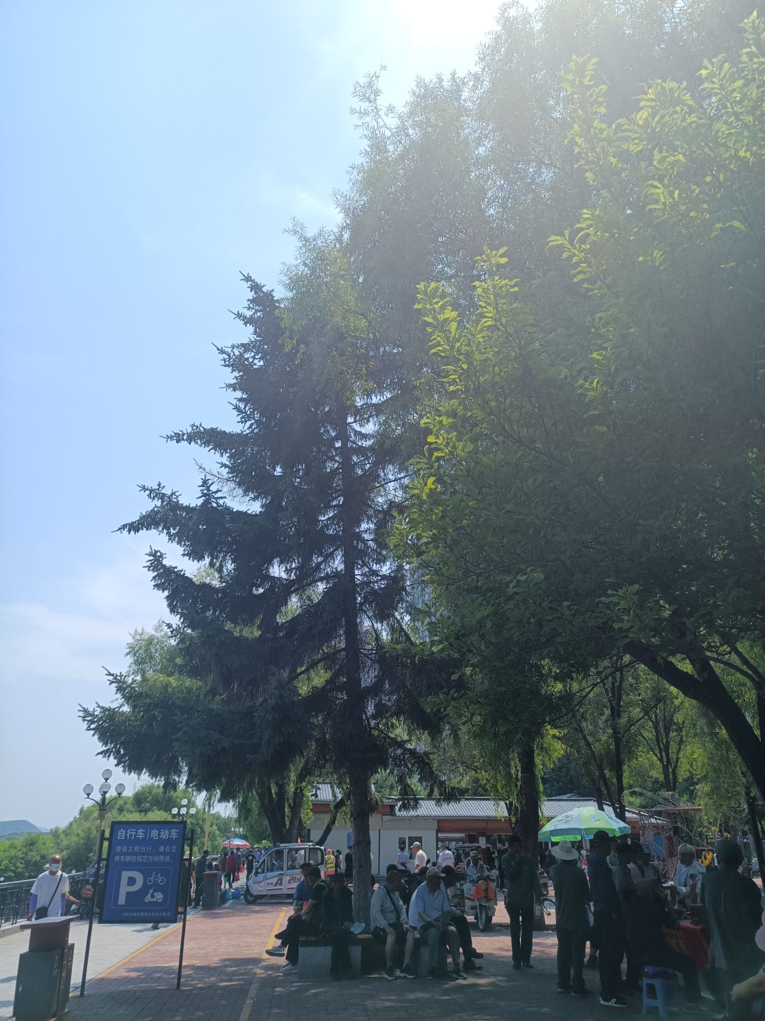 临江游园旅行图片 2