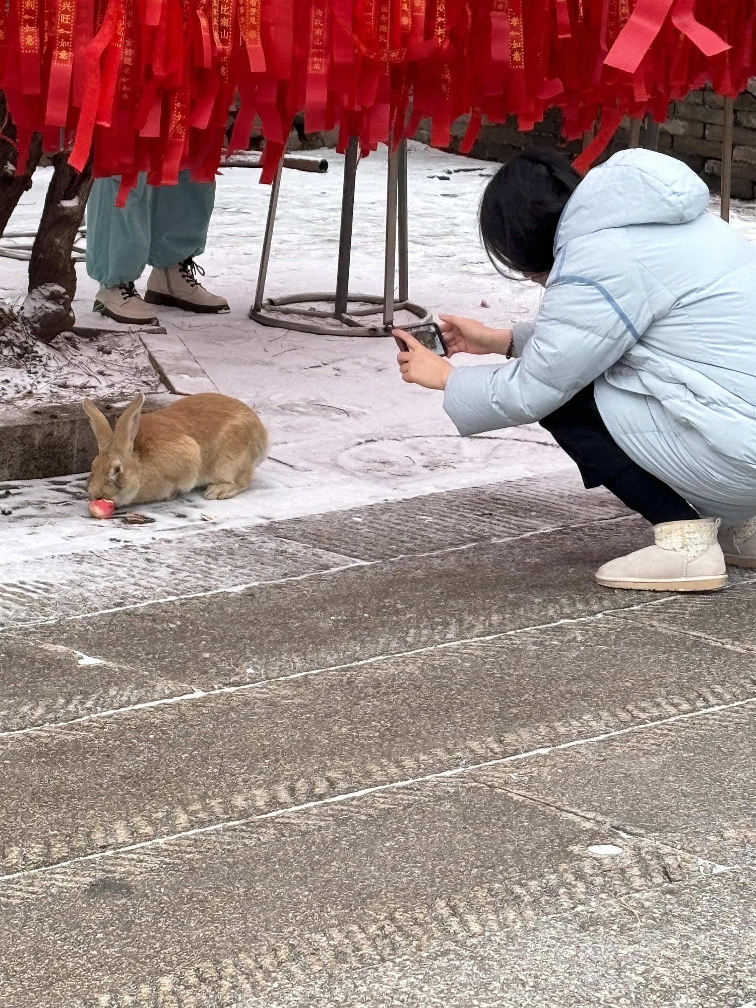 北山公园旅行图片 3