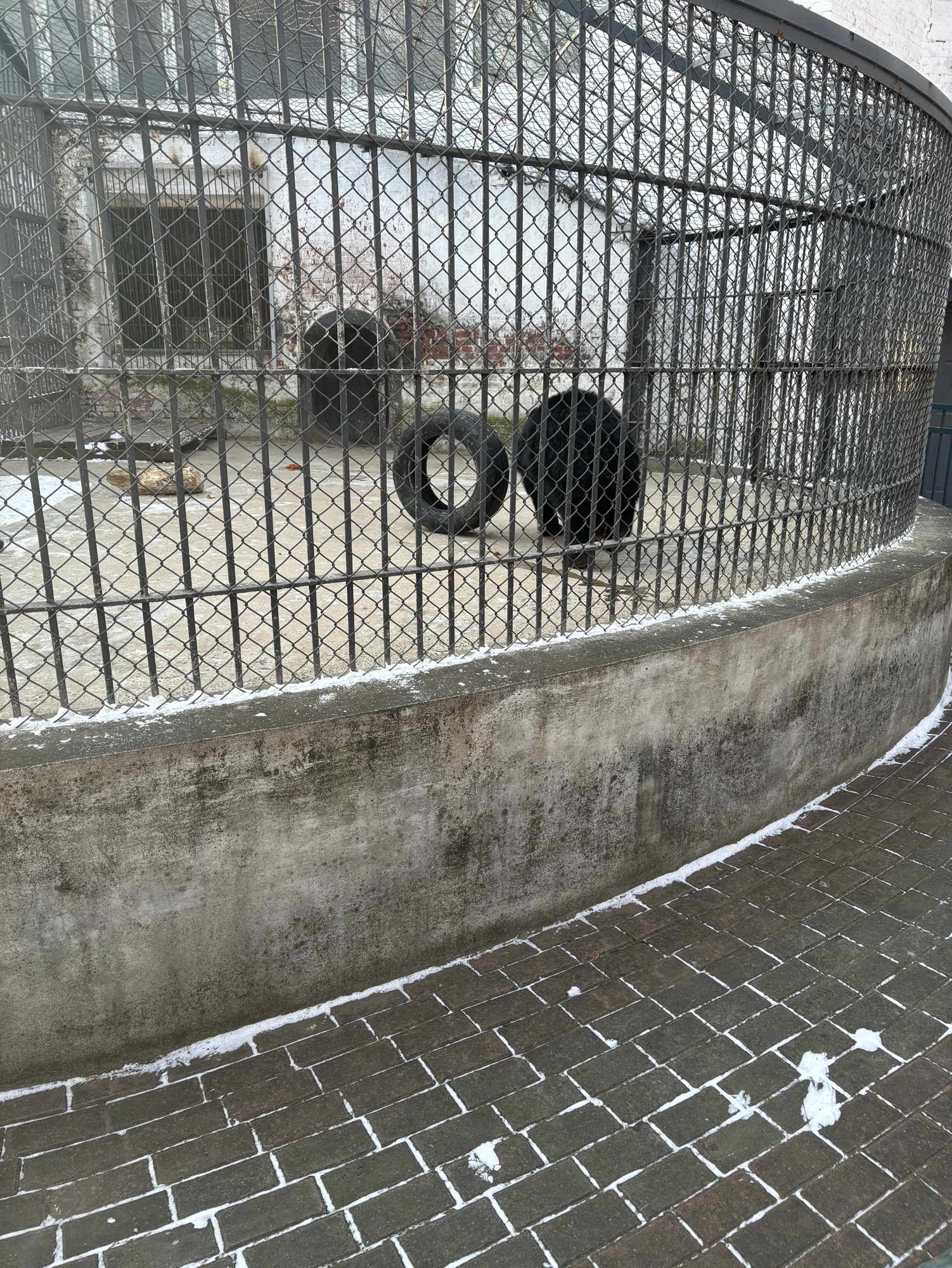吉林江南公园旅行图片 1