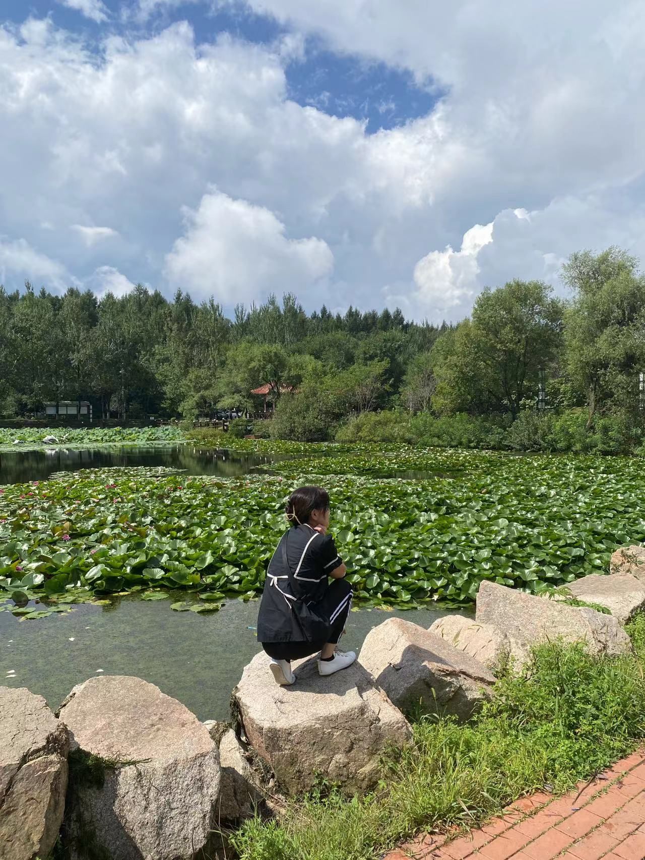 舒兰森林公园旅行图片 2