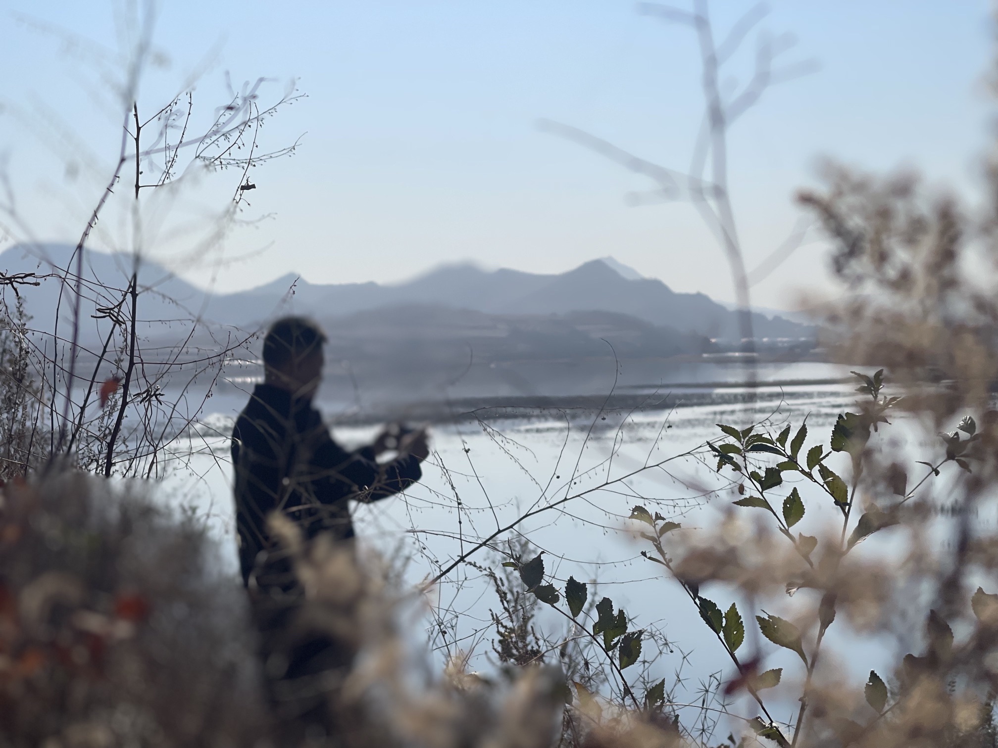 黄河水库旅行图片 3