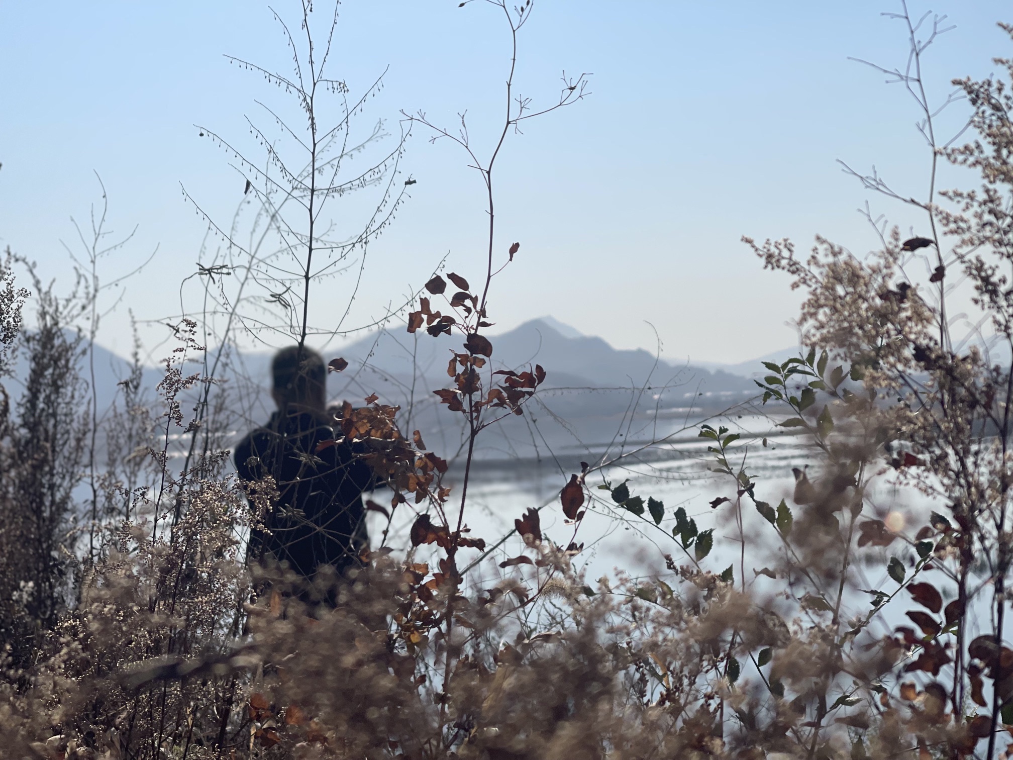 黄河水库旅行图片 2