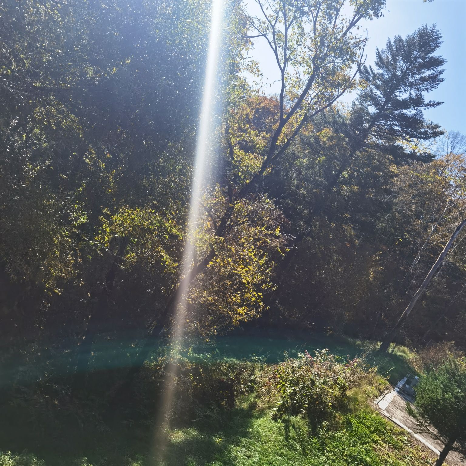 森林氧吧旅行图片 3