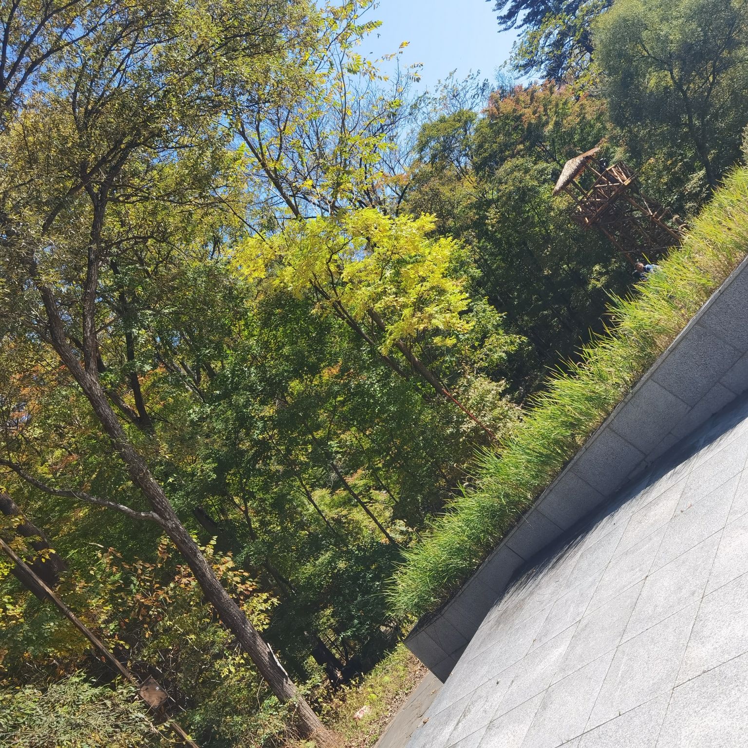 森林氧吧旅行图片 2