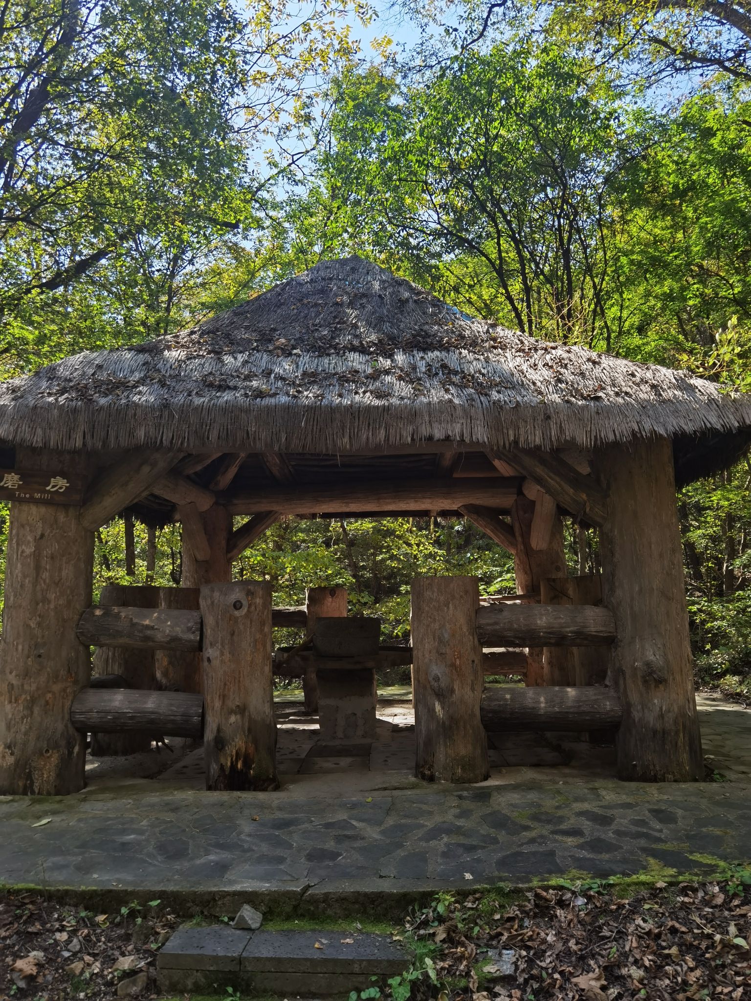红石国家森林公园(暂停开放)旅行图片 2