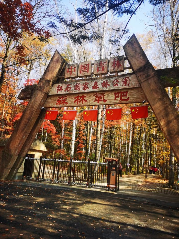 红石国家森林公园(暂停开放)旅行图片 1