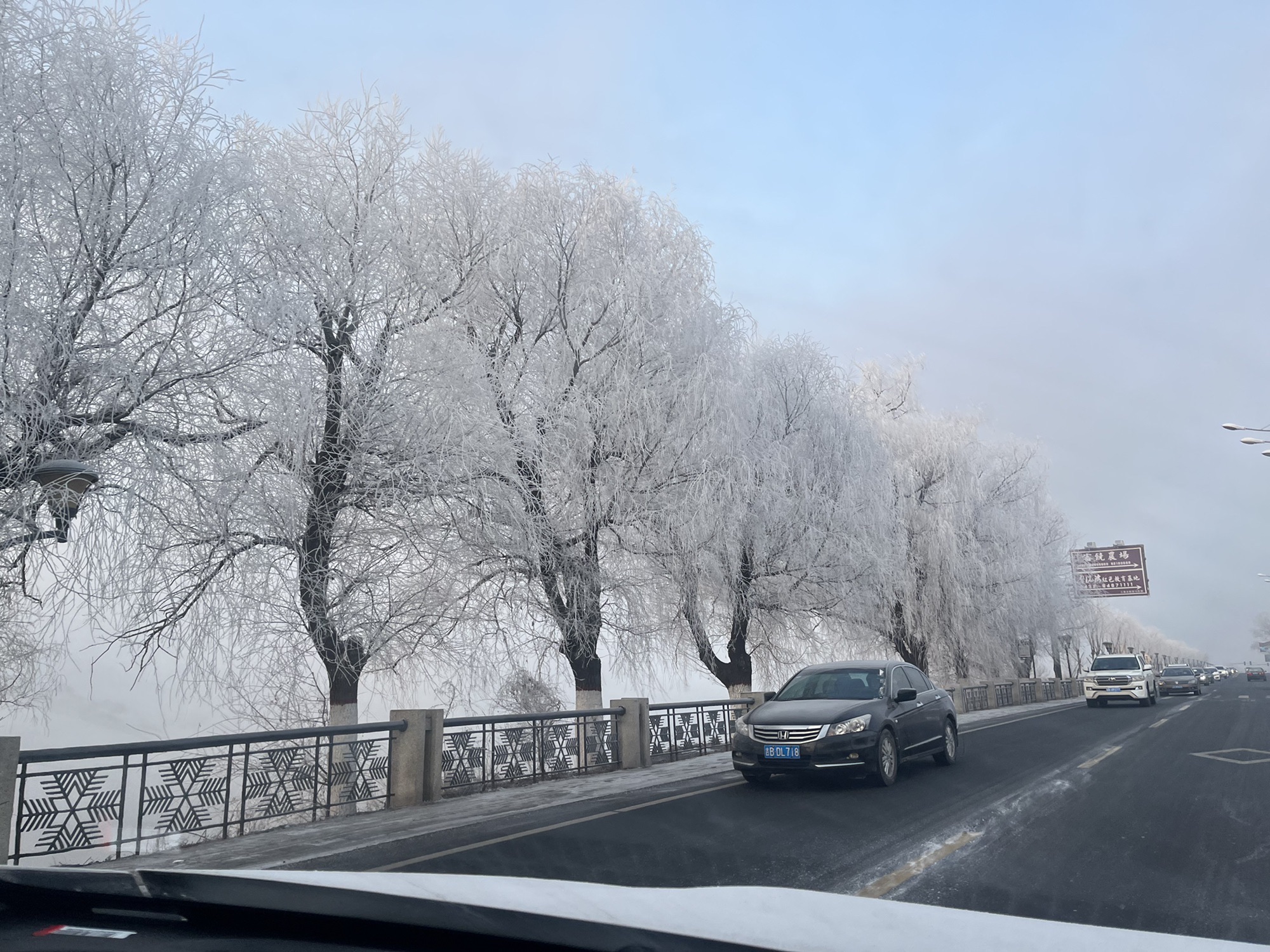 阿什哈达摩崖石刻旅行图片 2