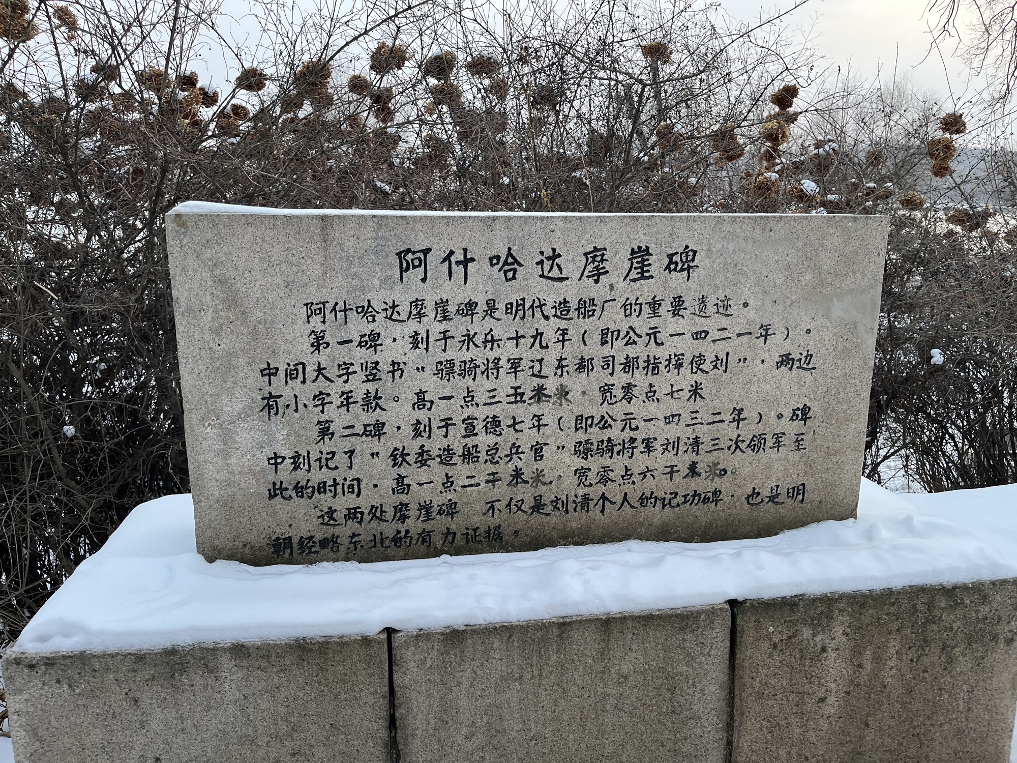 阿什哈达摩崖石刻旅行图片 1