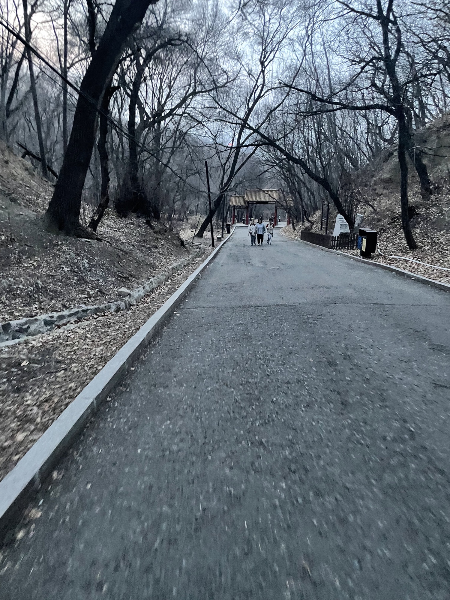 龙潭山公园旅行图片 2
