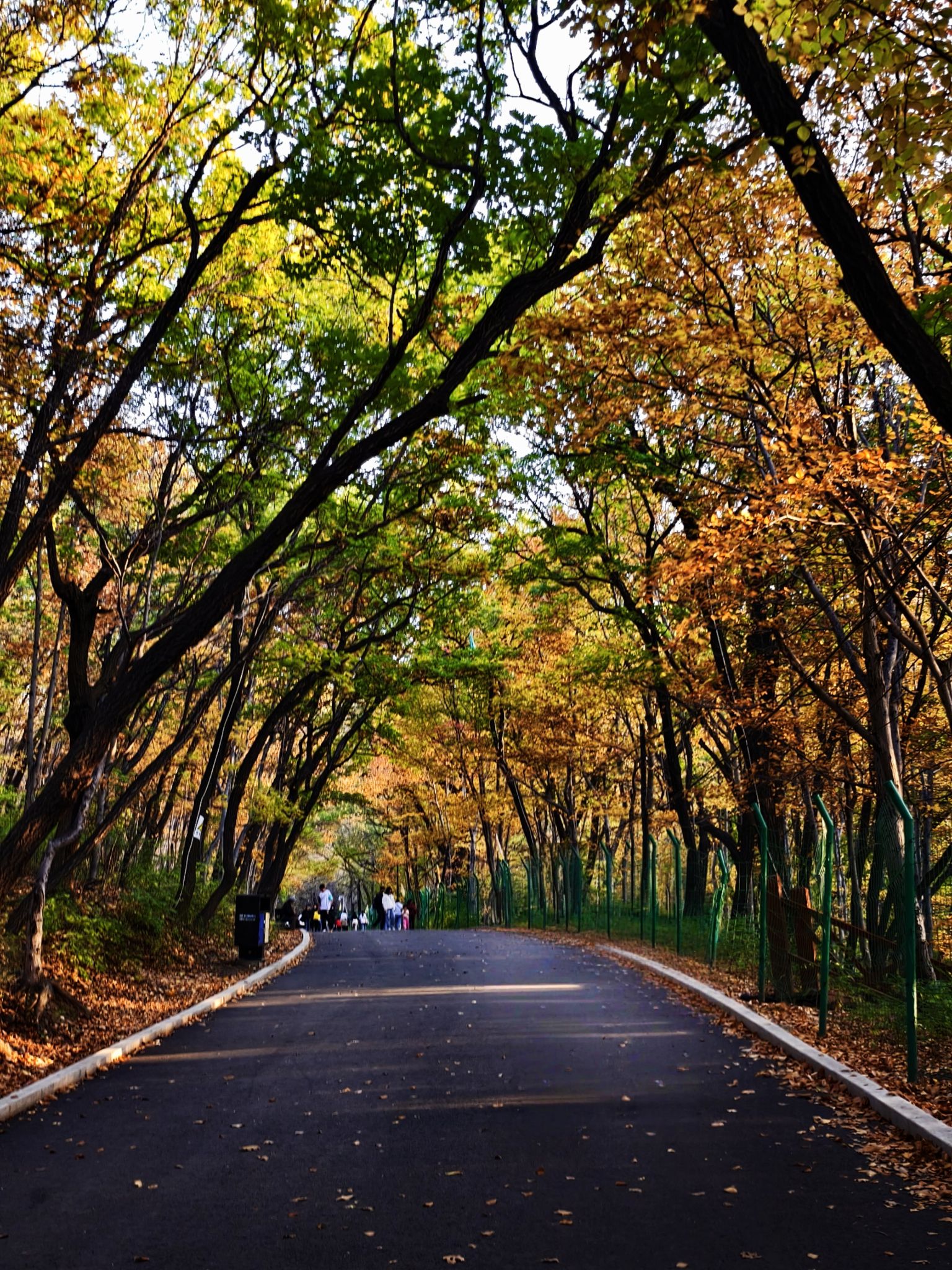 龙潭山公园旅行图片 3