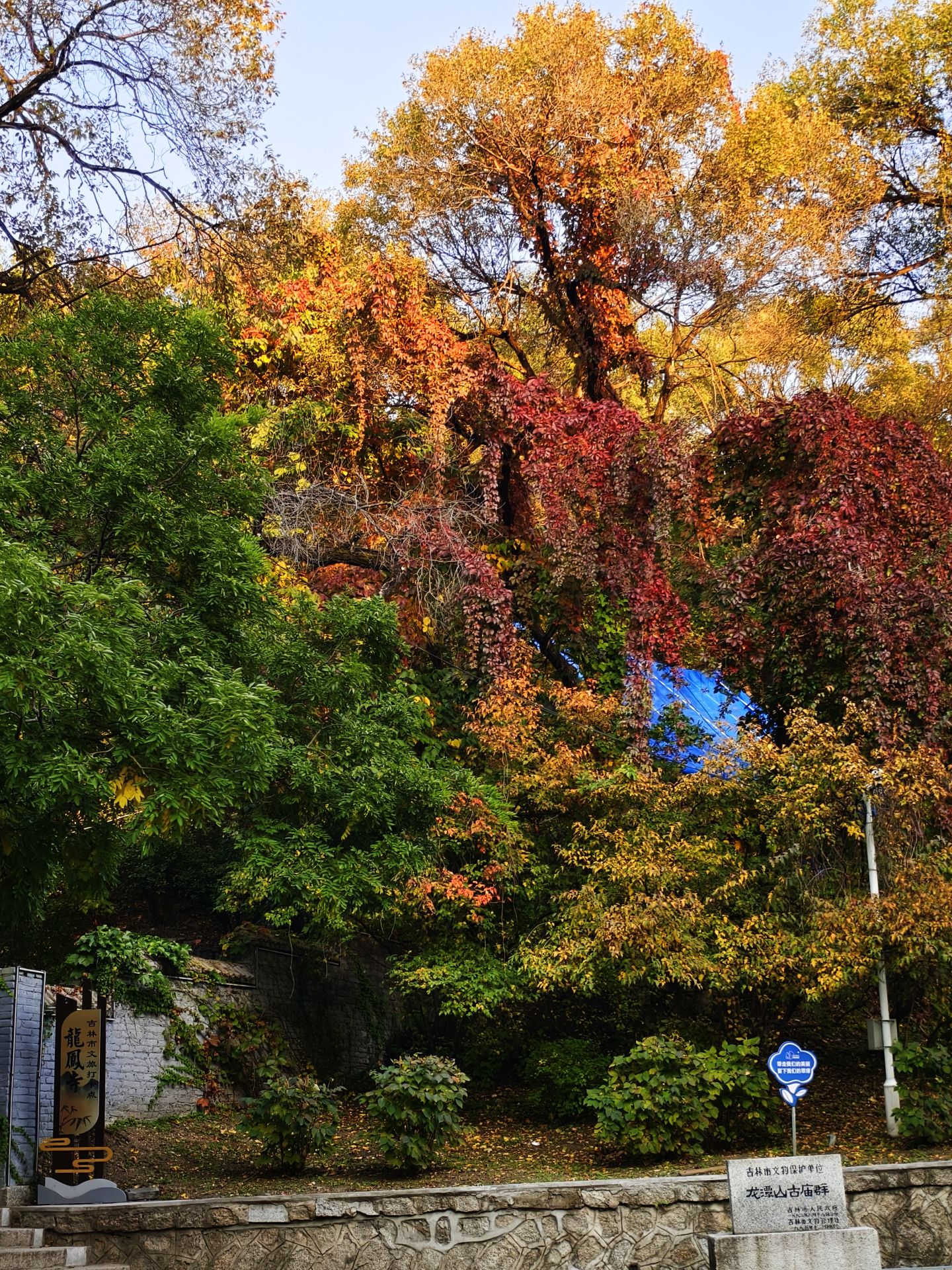 龙潭山公园旅行图片 2