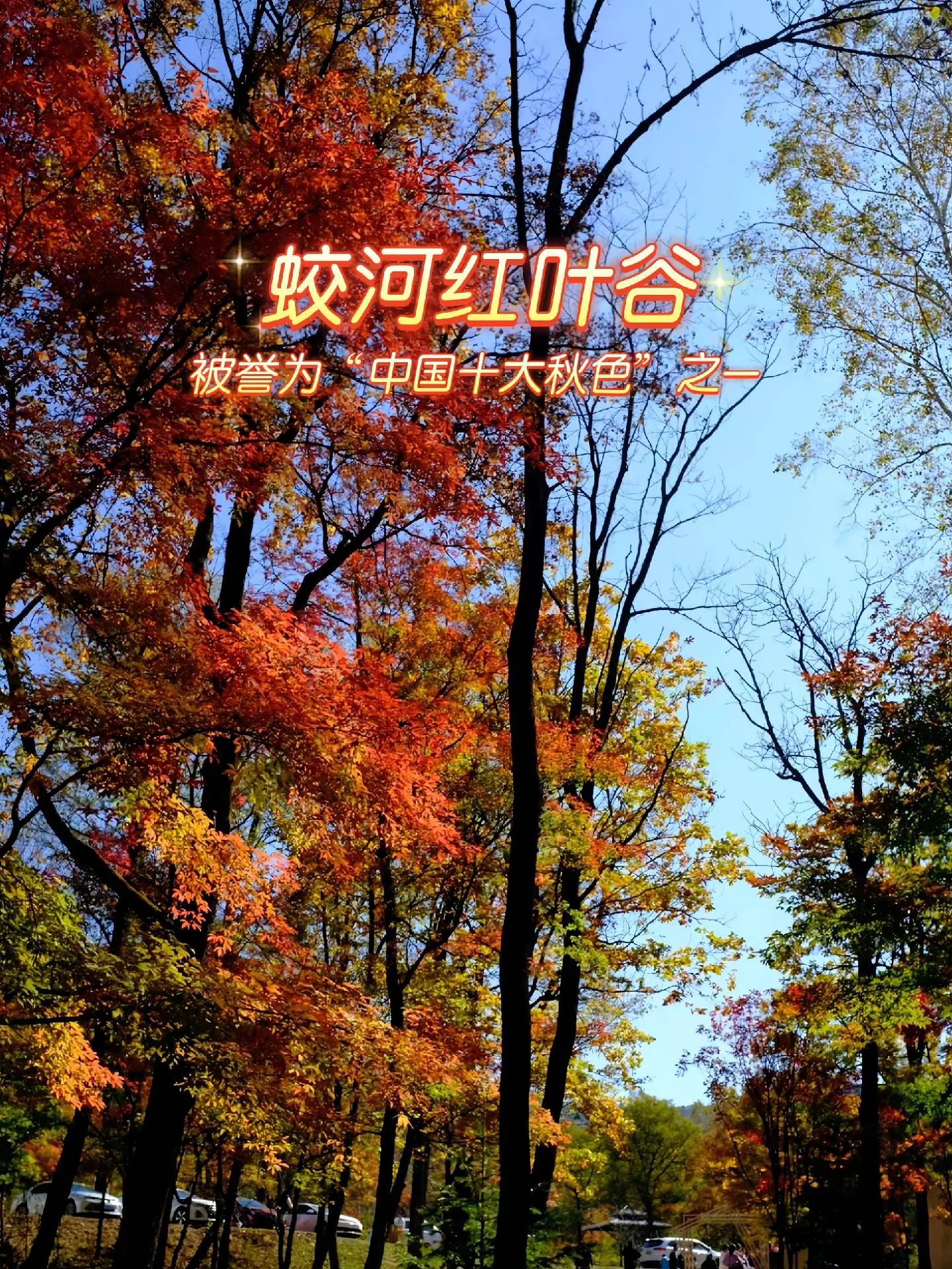 红叶谷(暂停开放)旅行图片 1