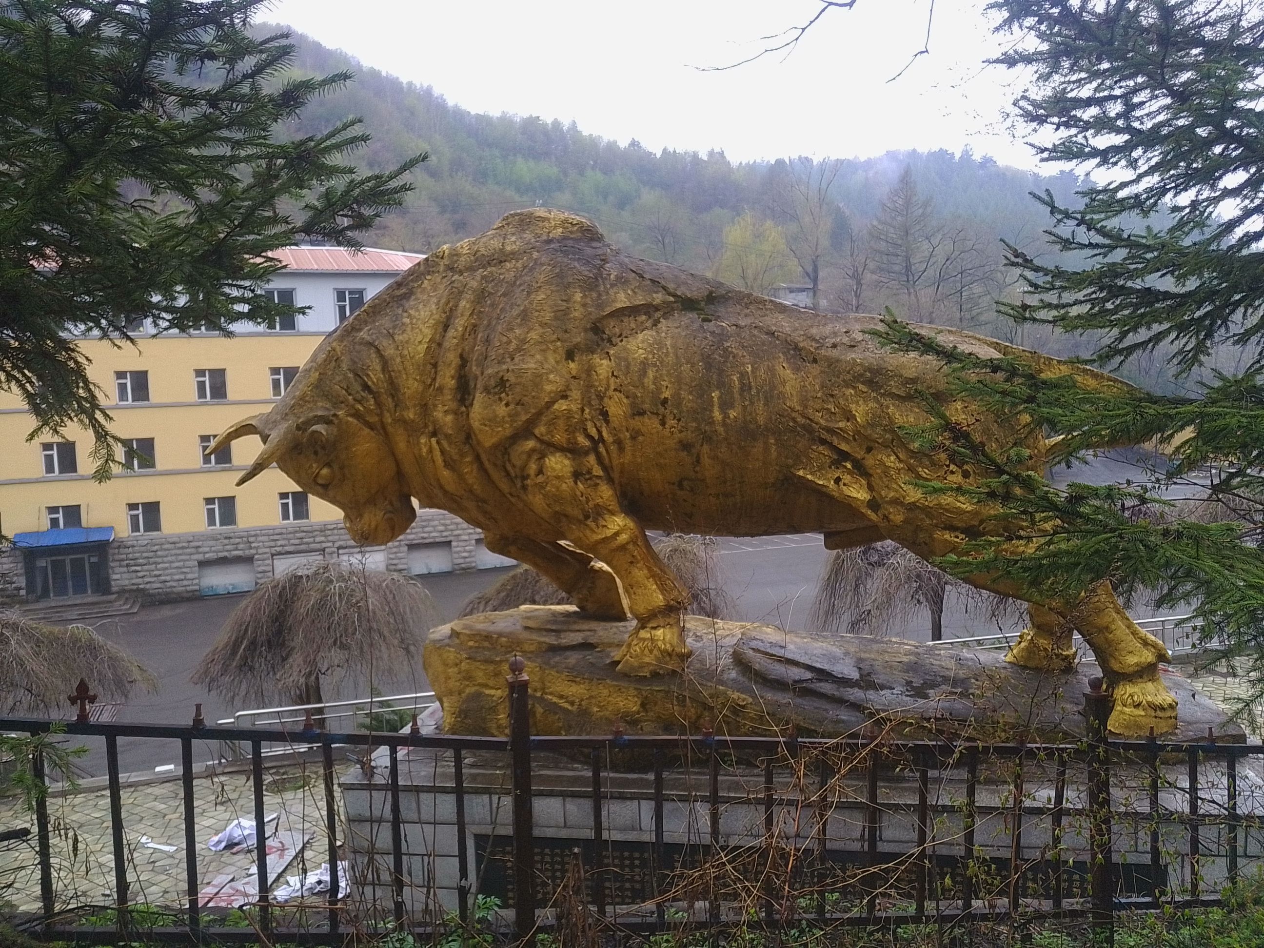 金山公园旅行图片 1