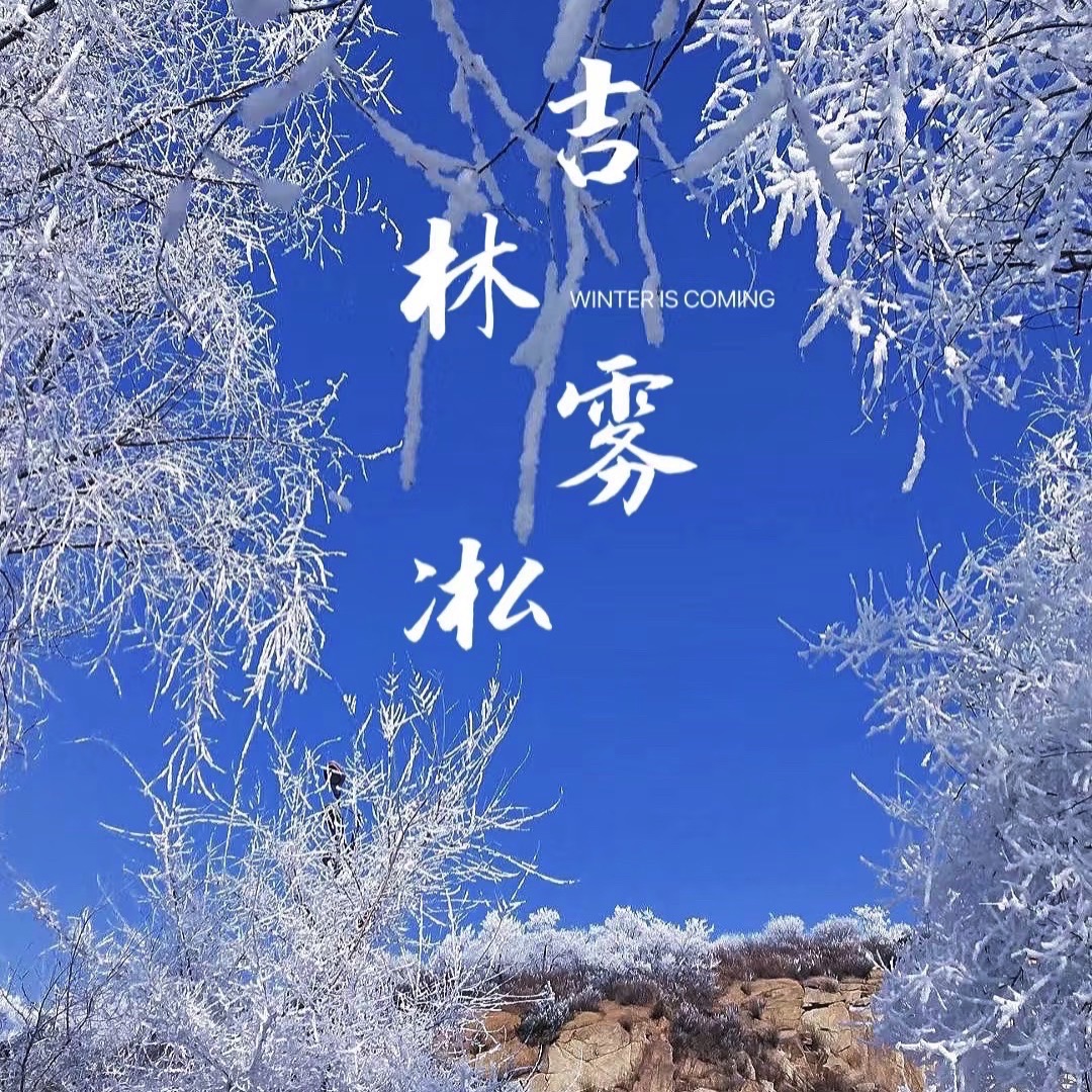 雾凇岛旅行图片 1