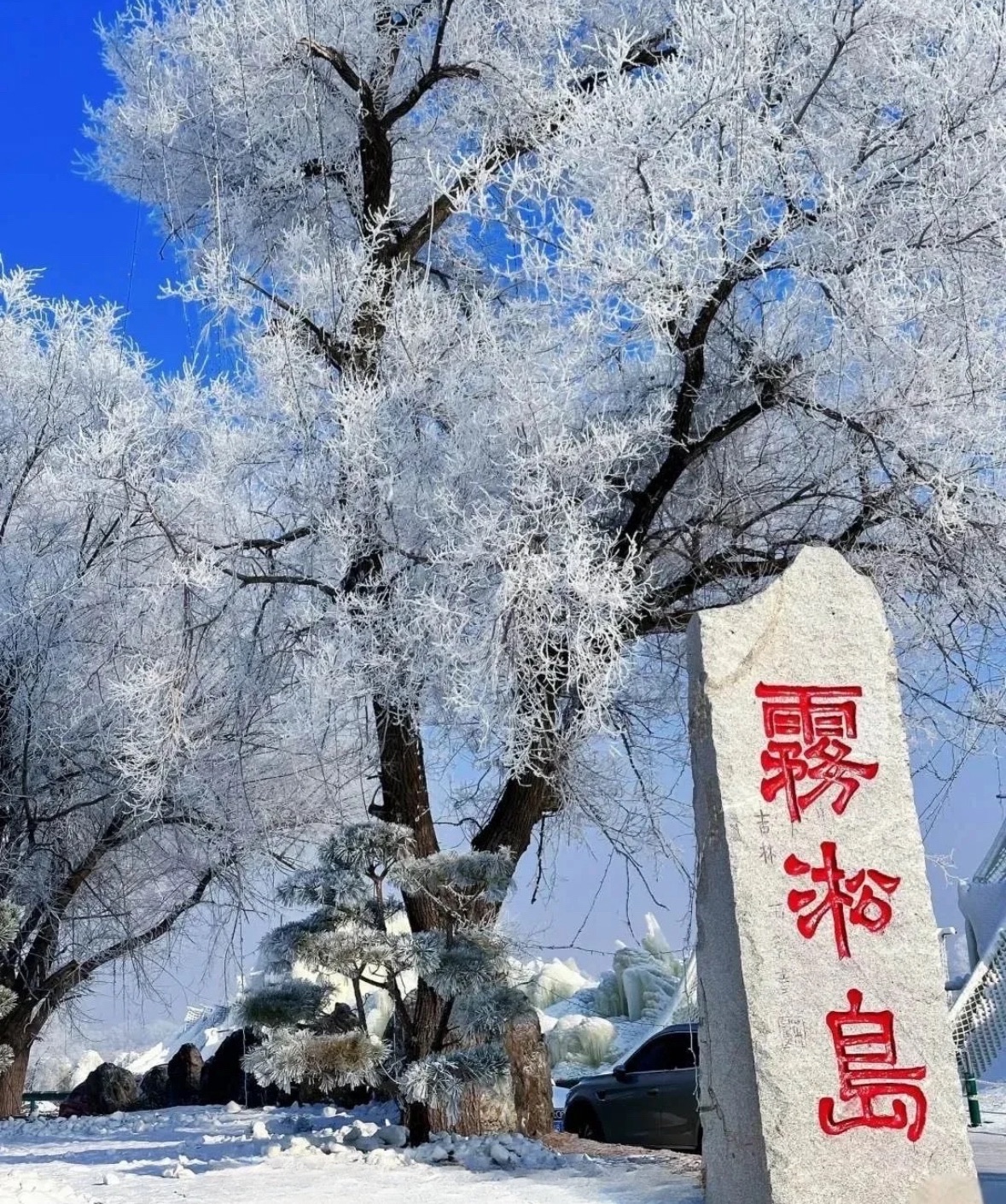 雾凇岛旅行图片 1