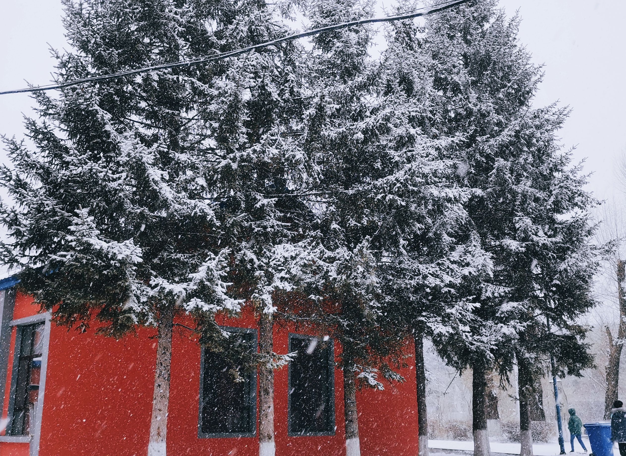 吉林农业科技学院(左家校区)