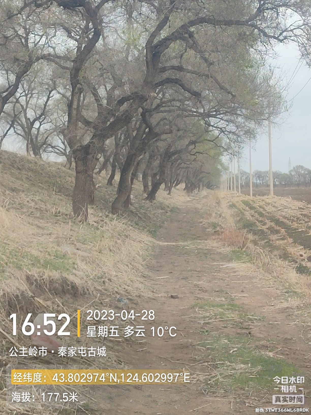 秦家屯古城旅行图片 3
