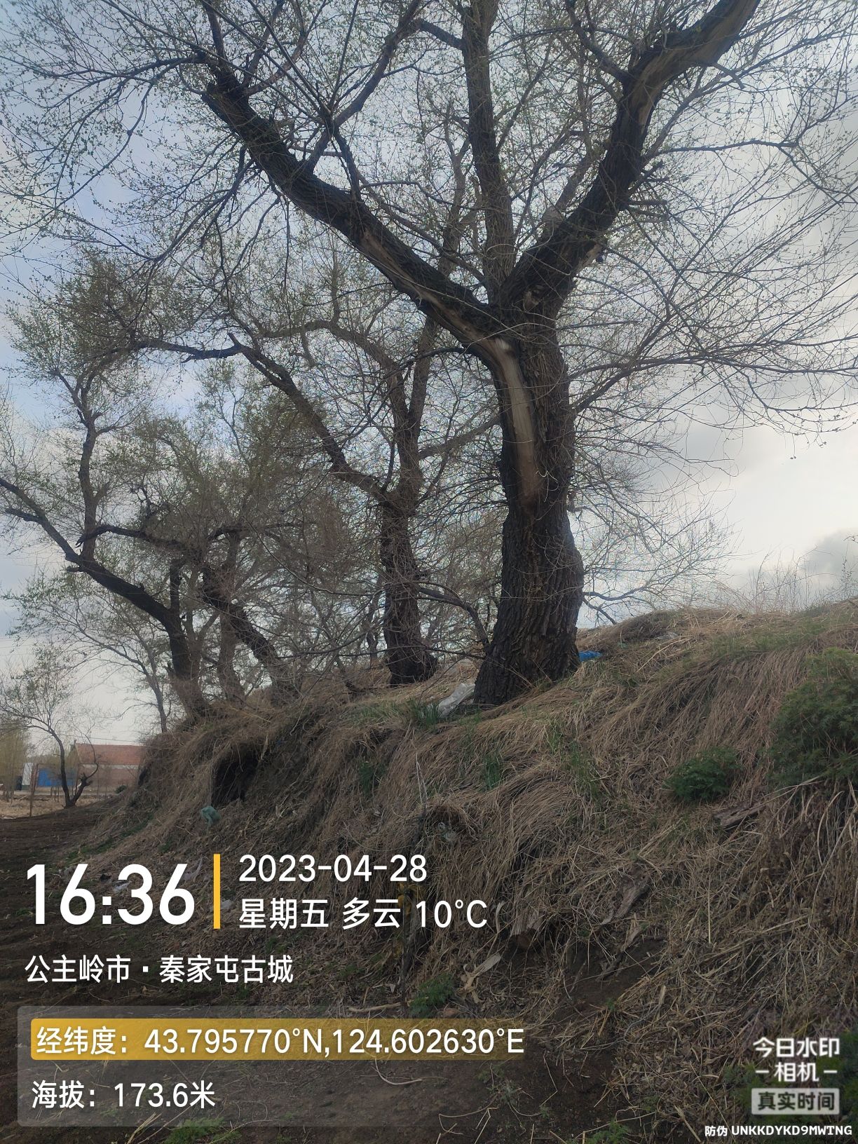秦家屯古城旅行图片 1