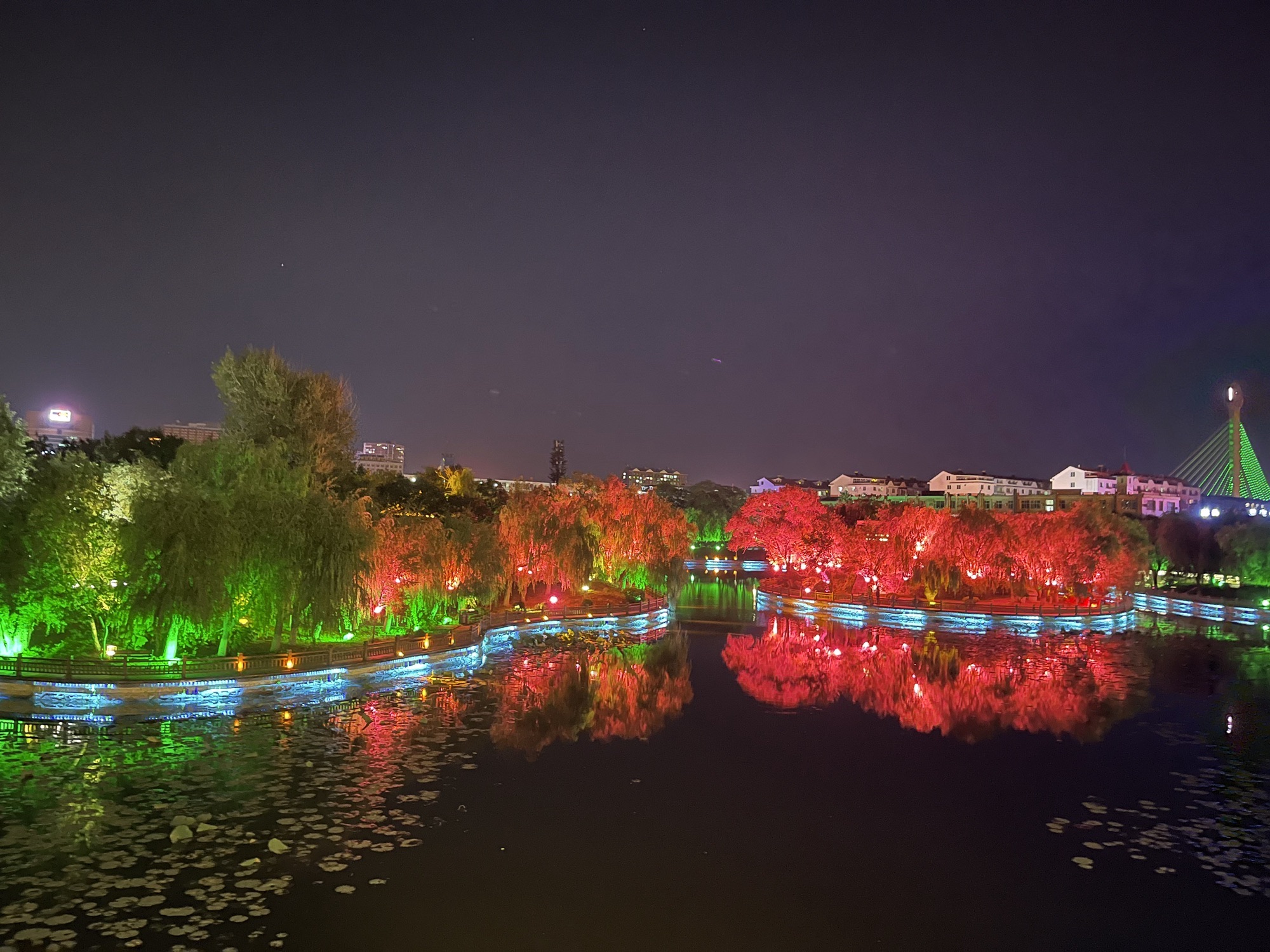 南湖公园旅行图片 3