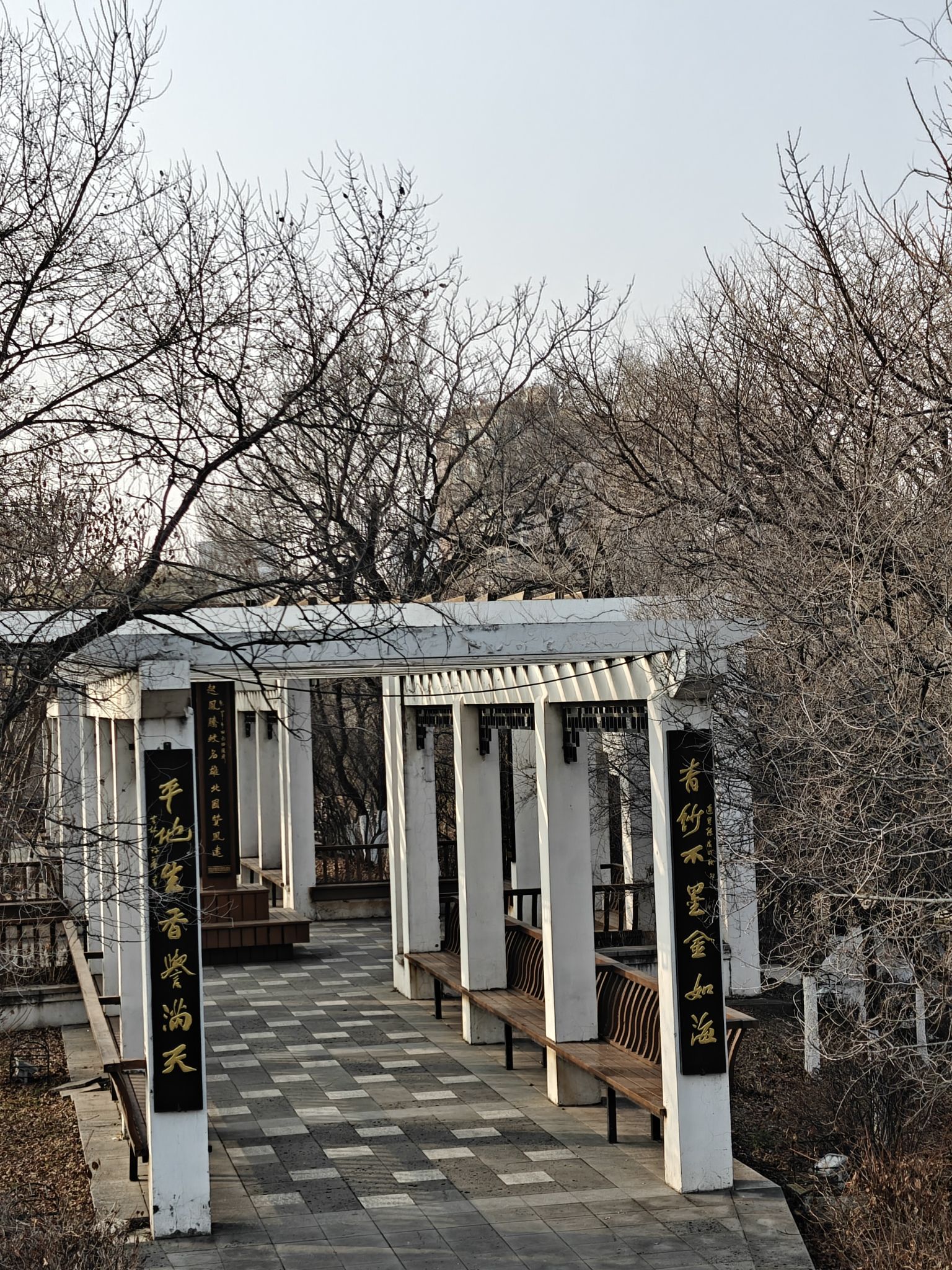 南湖公园旅行图片 2