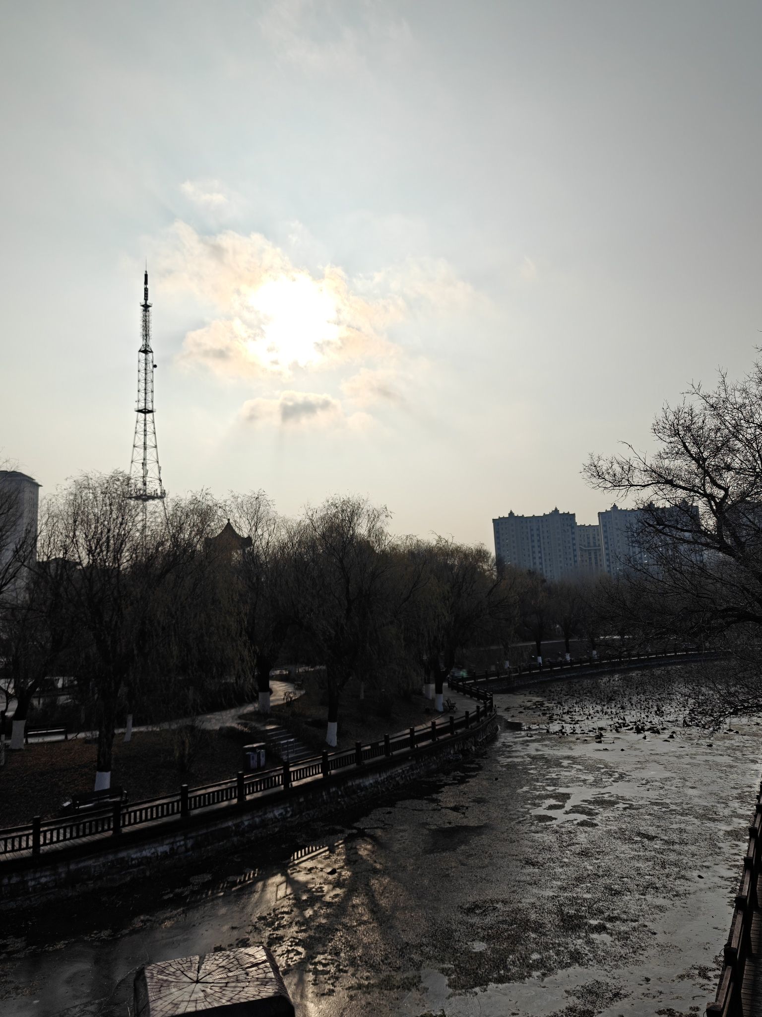 南湖公园旅行图片 1