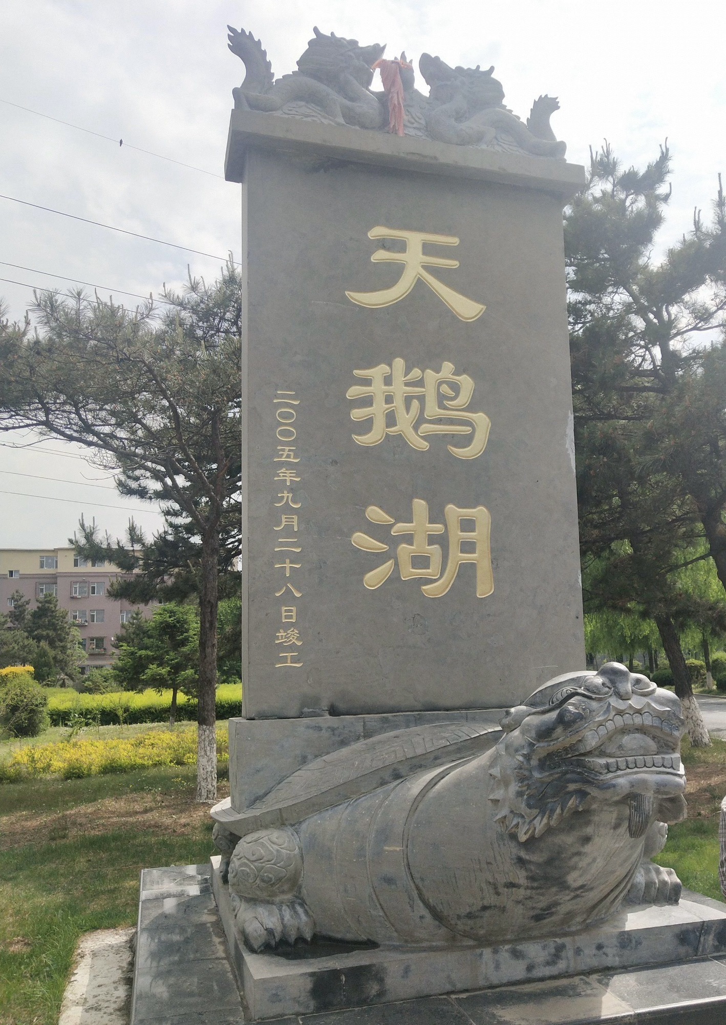 天鹅湖旅行图片 2