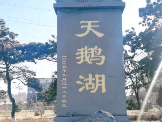 天鹅湖旅行图片 1