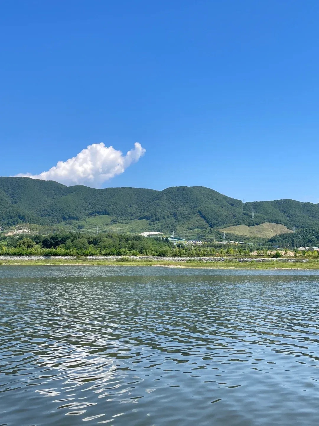 八一湖