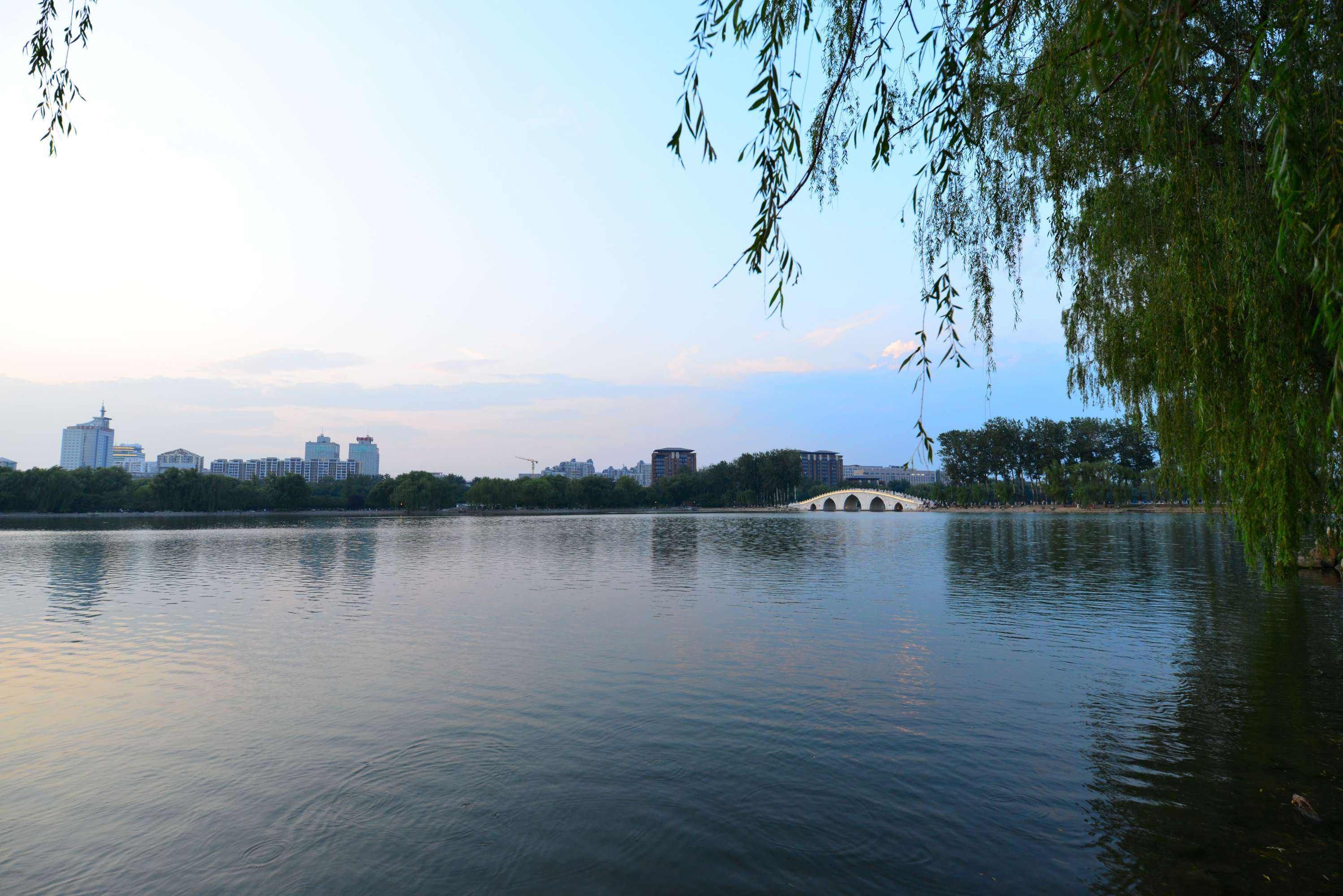 八一湖