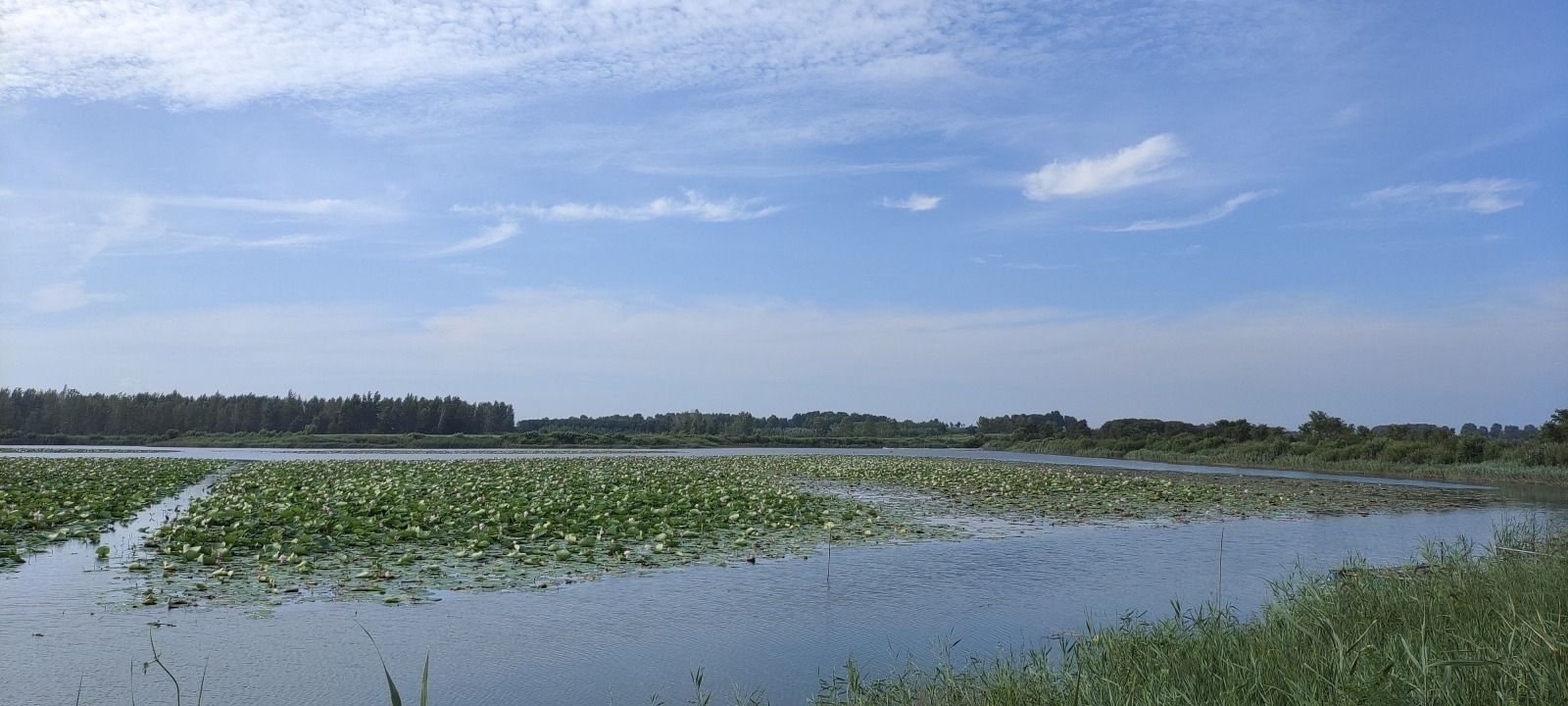八一湖旅行图片 2