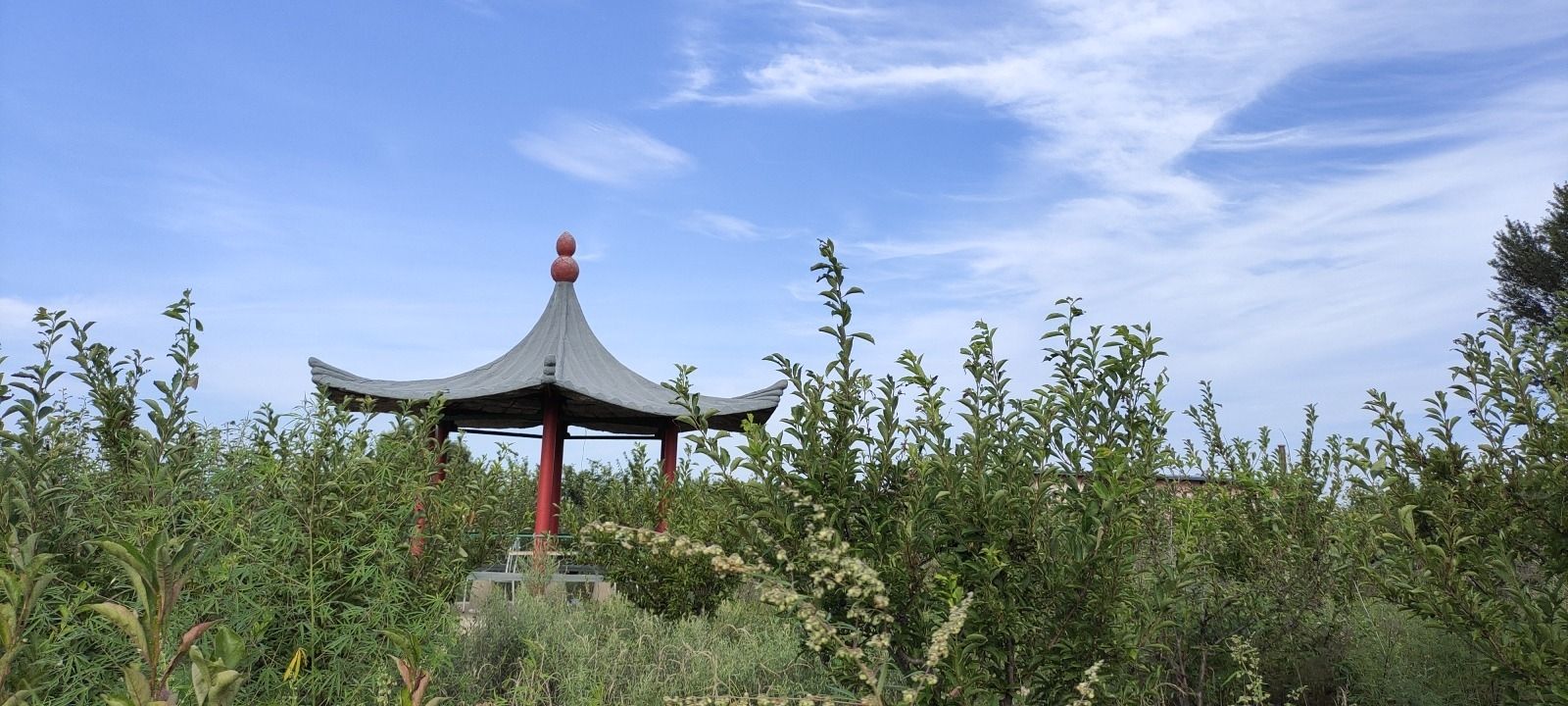 八一湖旅行图片 3