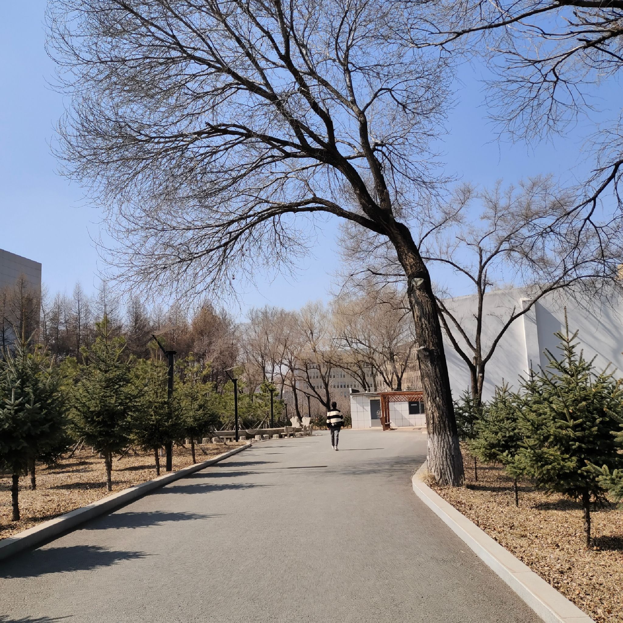 吉林师范大学四平校区家属区