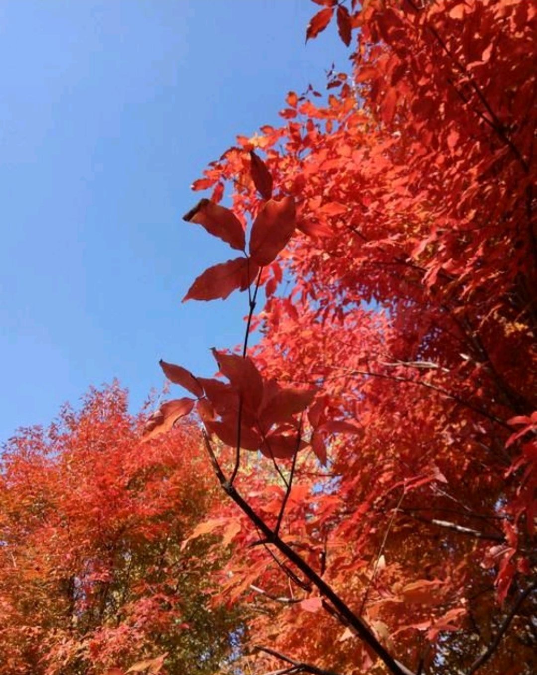 大孤山旅行图片 1