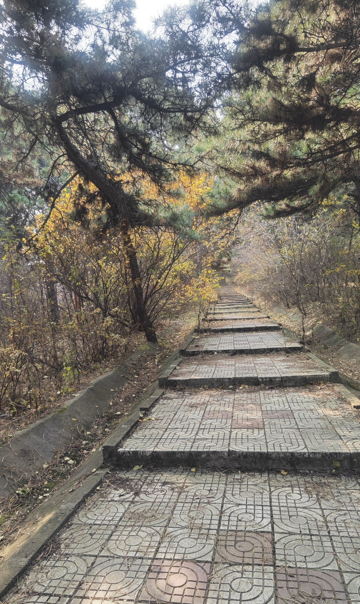 四平市山门水库风景区旅行图片 2