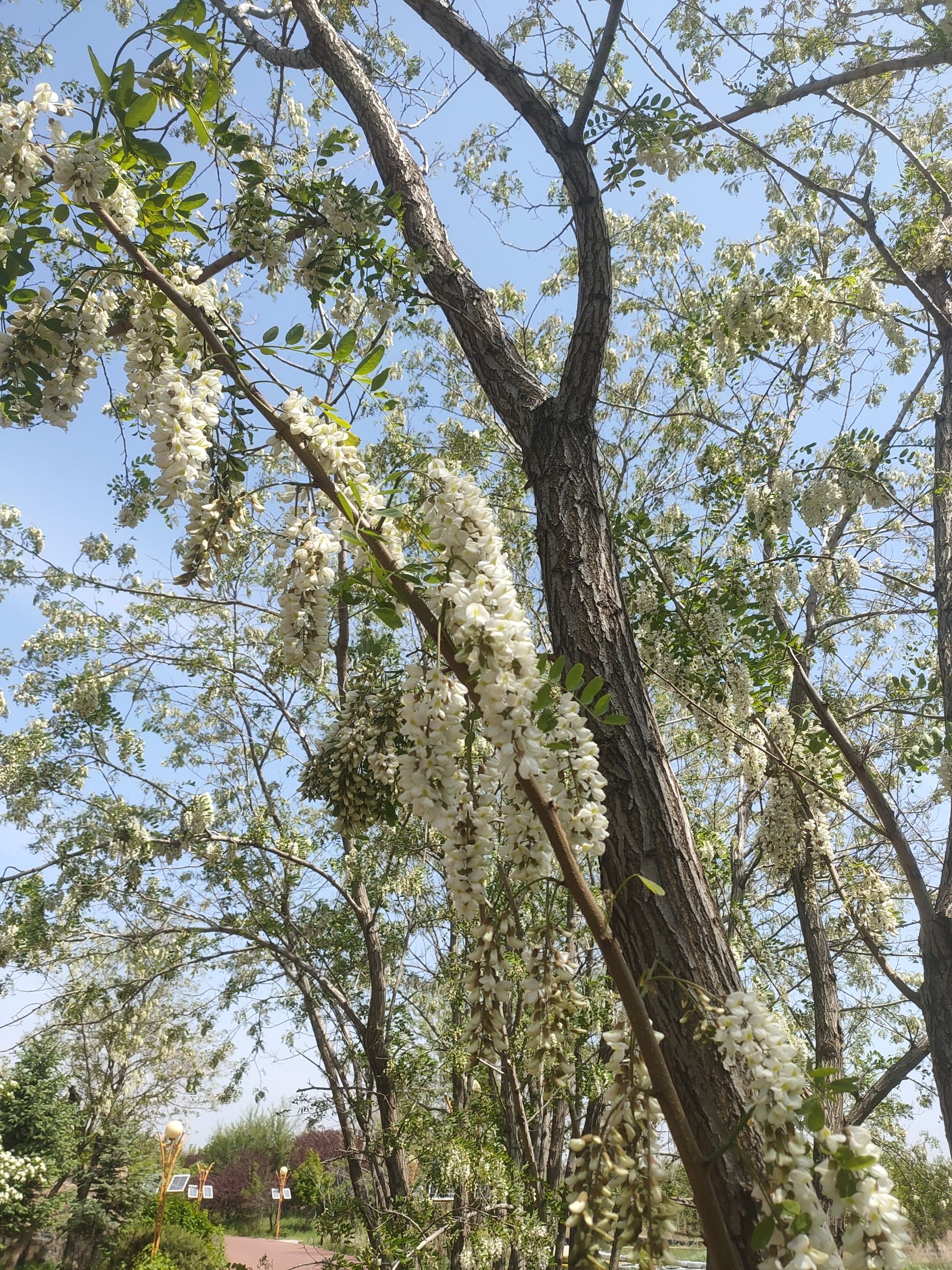 新北方巴厘岛(暂停开放)旅行图片 3