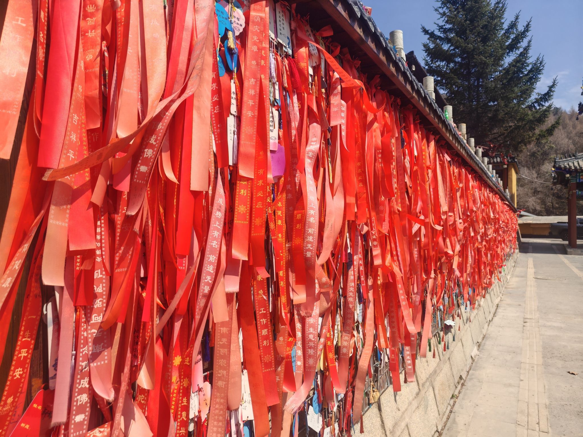 五奎山旅行图片 1