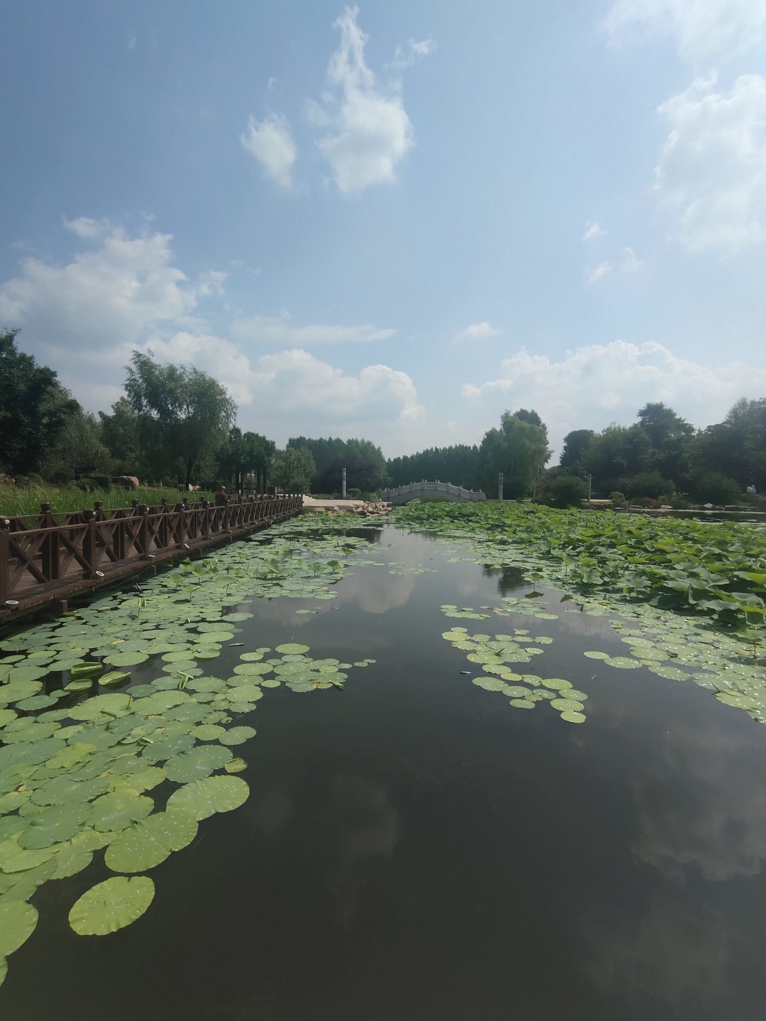 梅河口公园旅行图片 3
